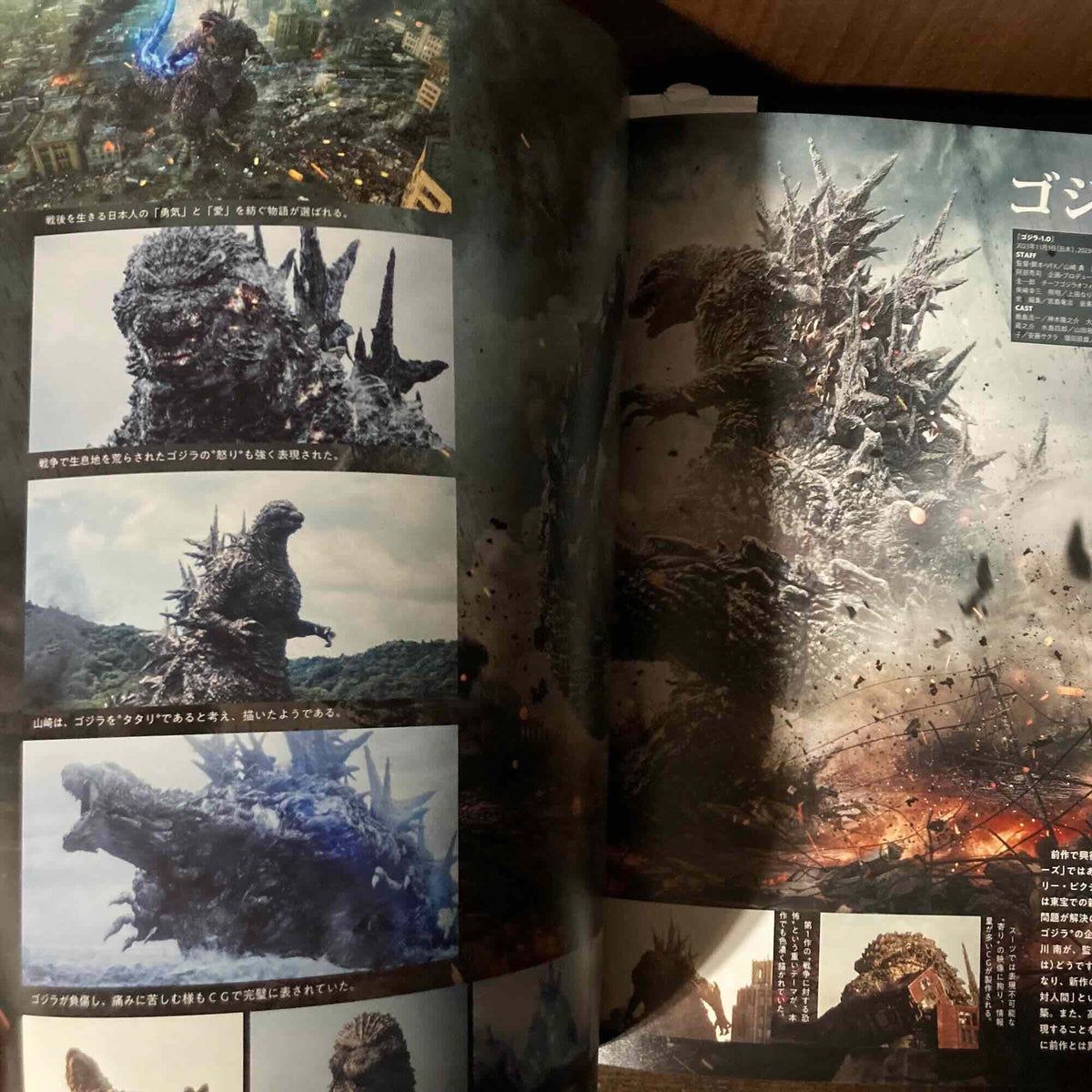 The Sumptuous Collection of Godzilla
