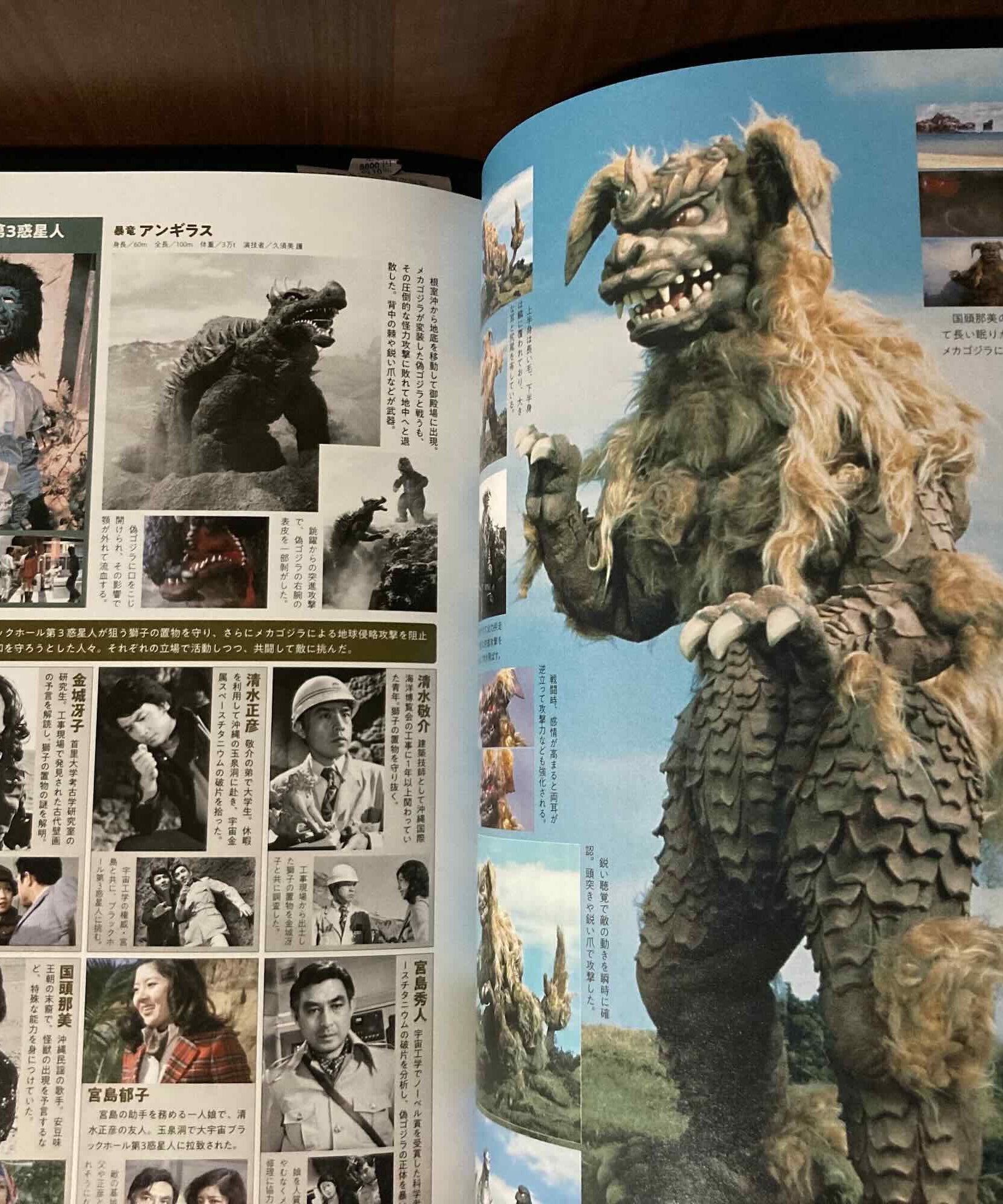 The Sumptuous Collection of Godzilla