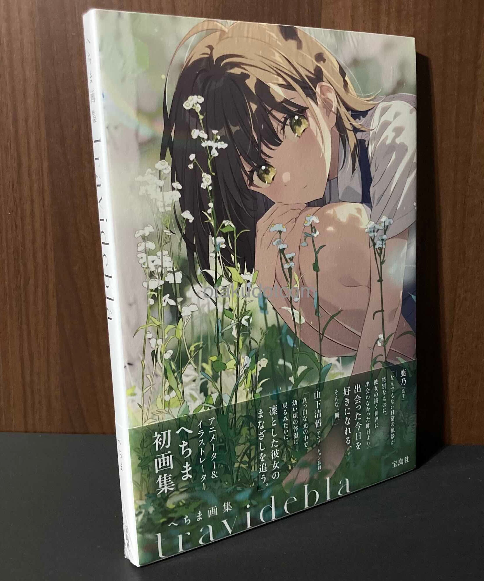 Hechima Artbook Travidebla