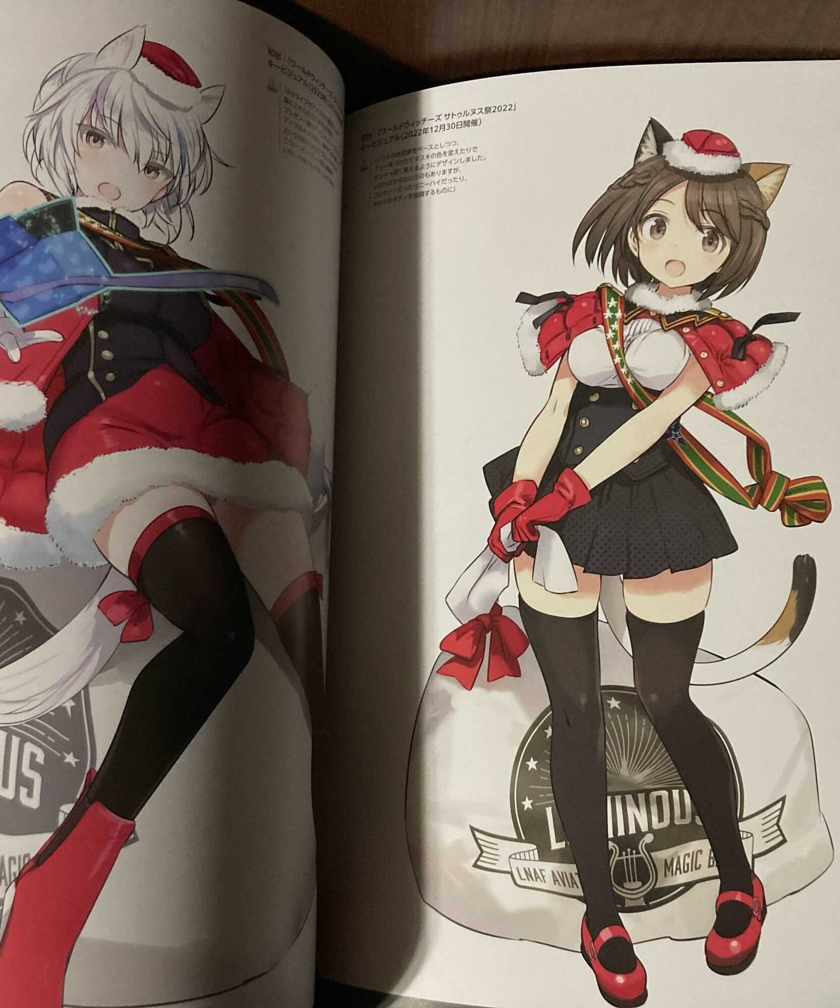 Fumikane Shimada - Art Works Extra Luminous Witches