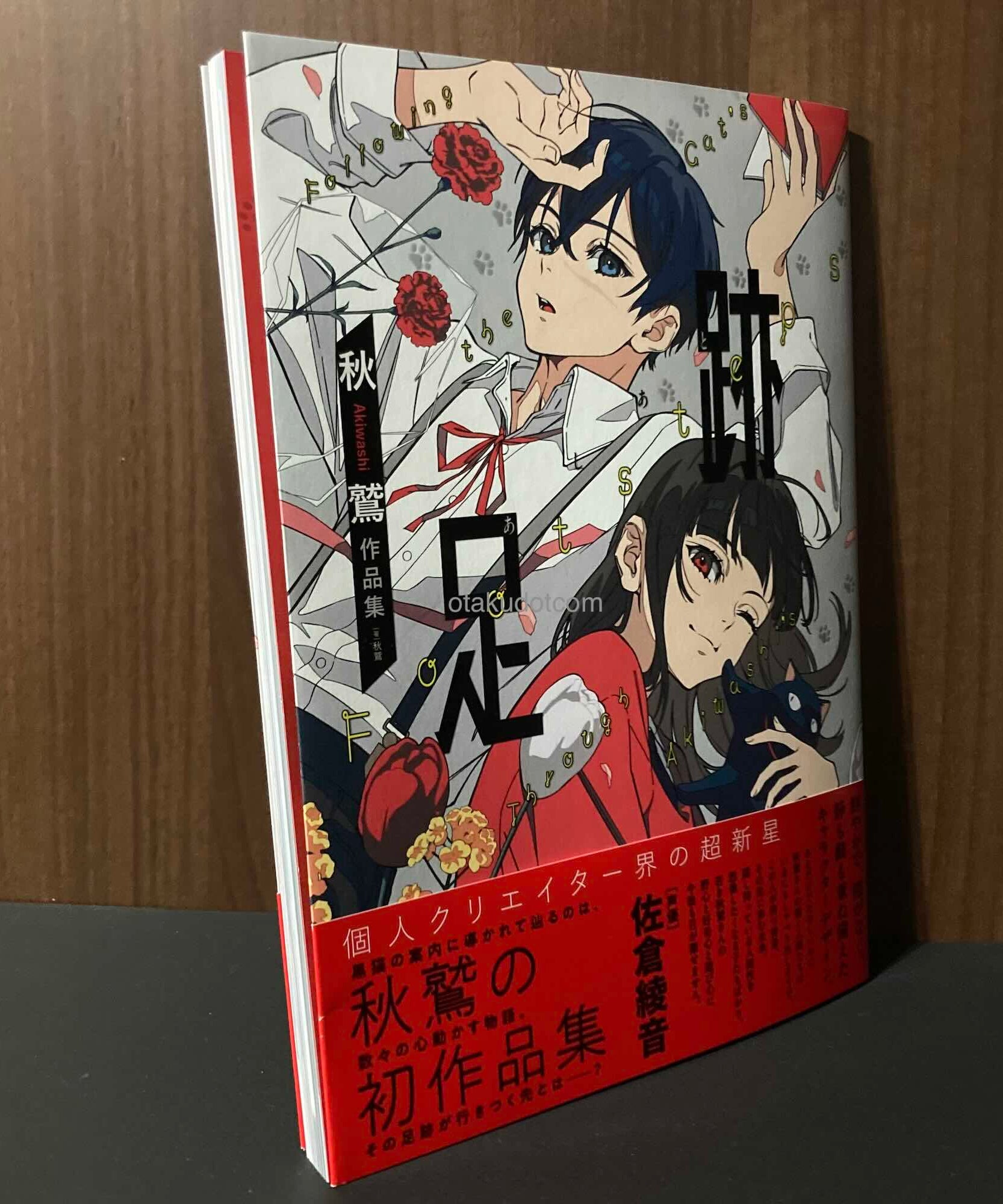 Akiwashi Footstep Art Book Ashiato