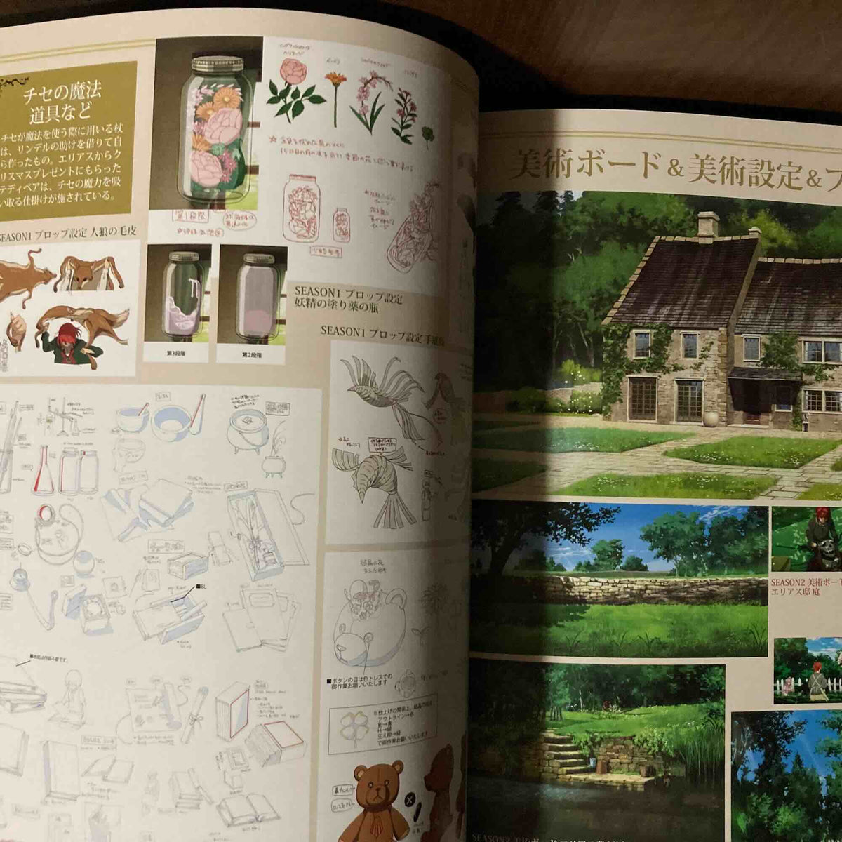 The Ancient Magus Bride Official Complete Book