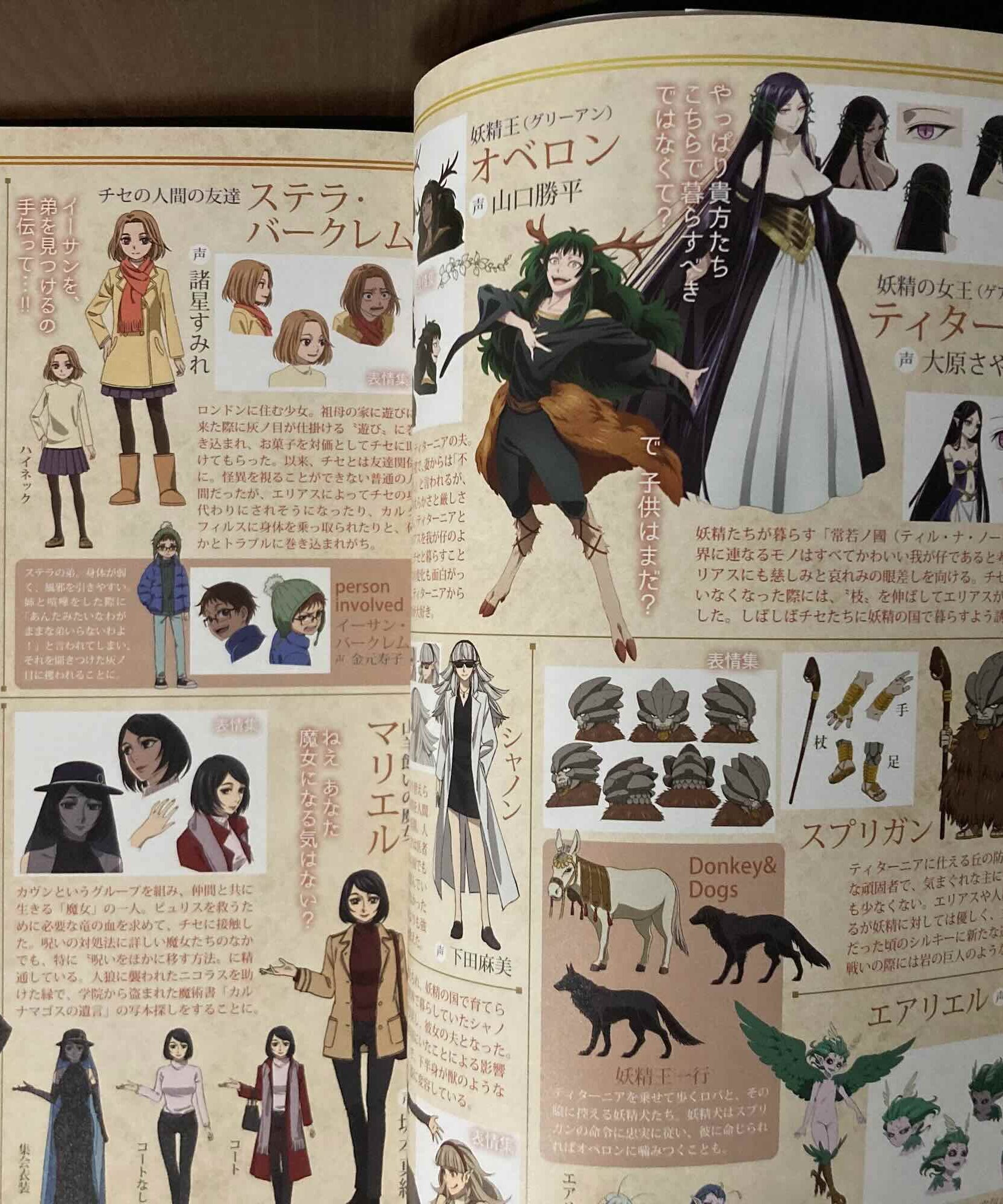 The Ancient Magus Bride Official Complete Book