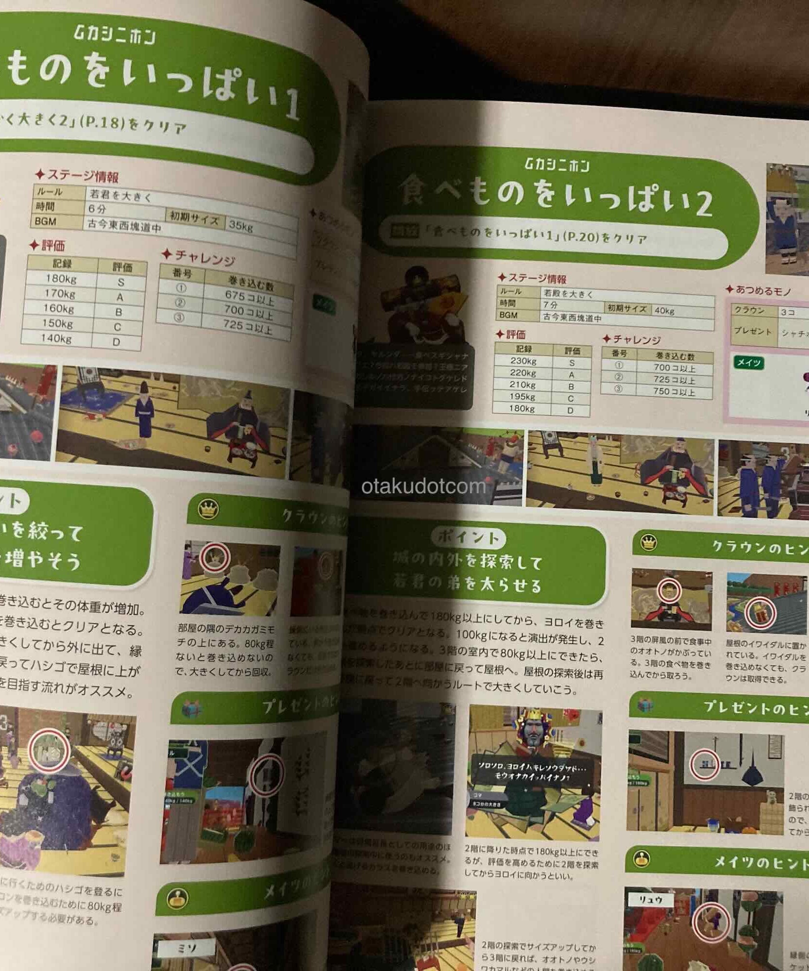 Once Upon a Katamari Guide Book