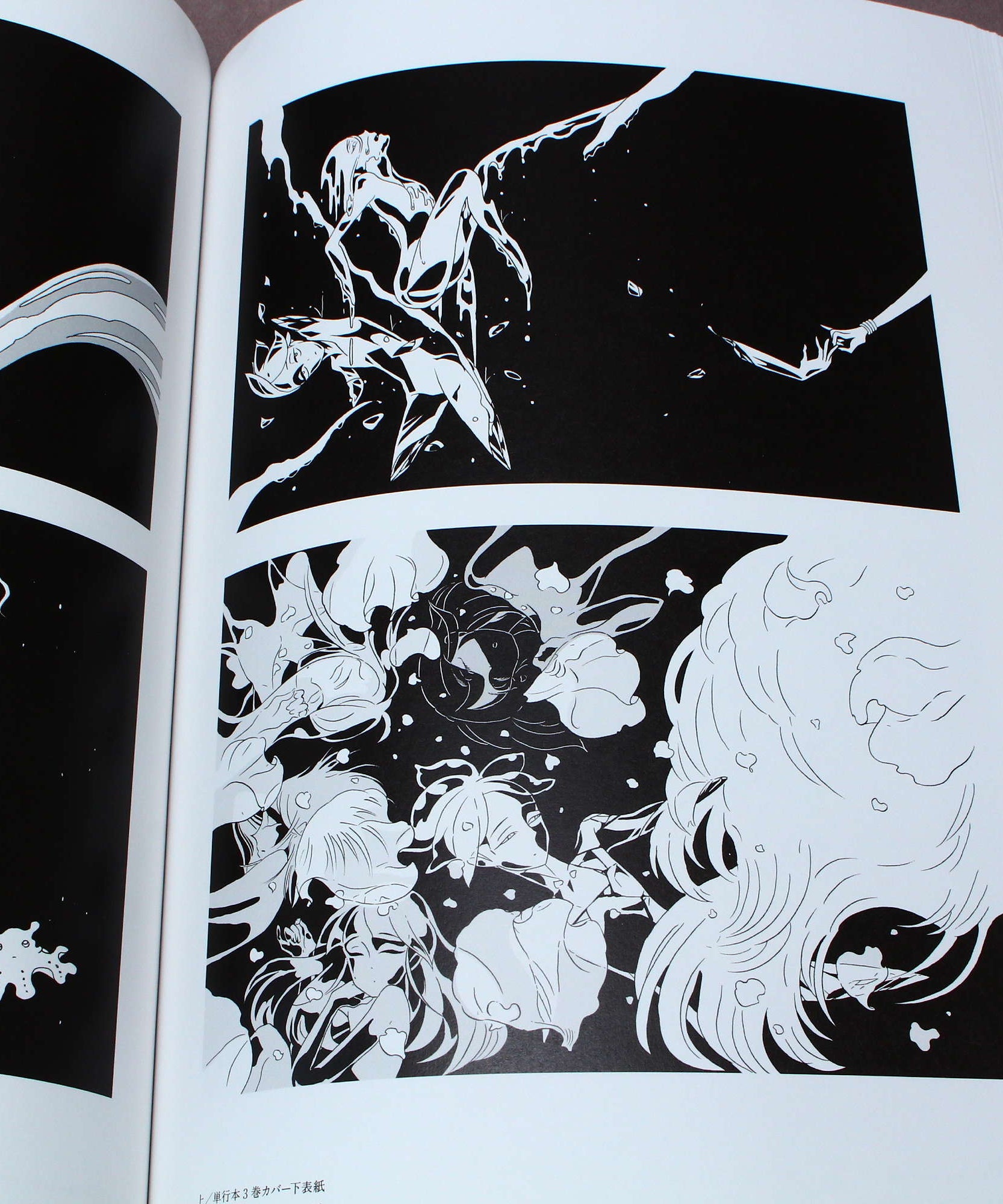 Pseudomorph of Love - Ichikawa Haruko Illustration Book