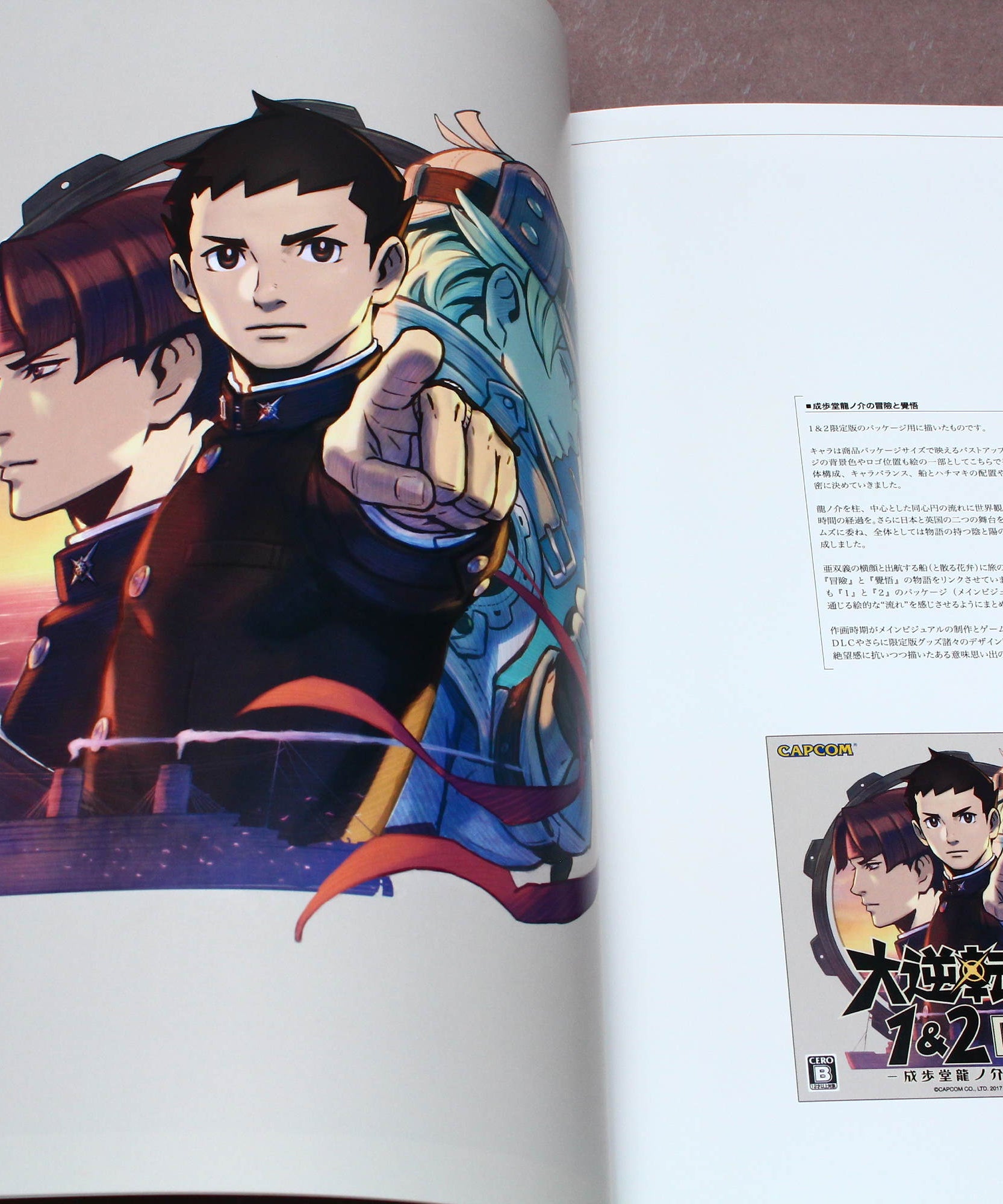 Ace Attorney - Dai Gyakuten Saiban 2 - Official Artworks