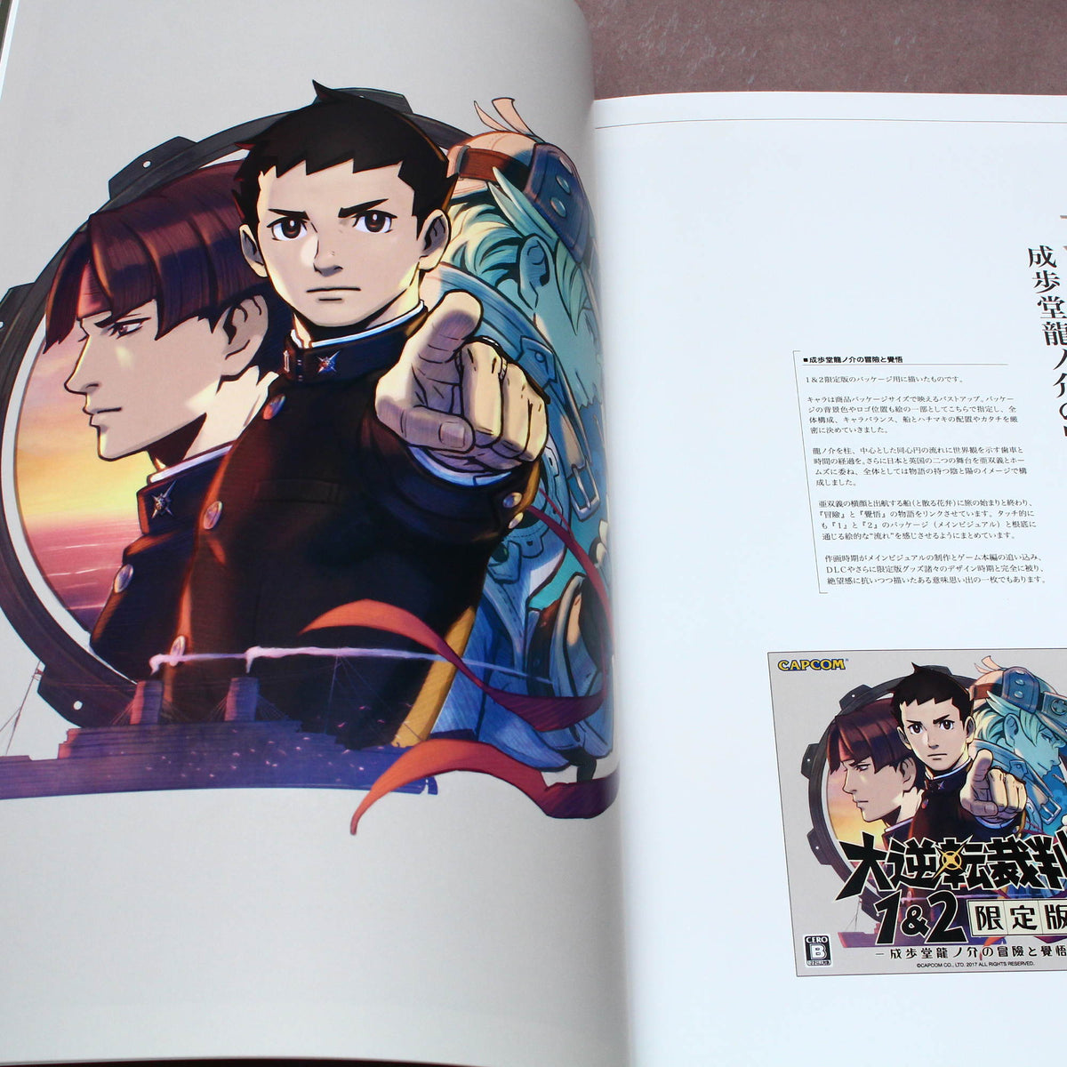 Ace Attorney - Dai Gyakuten Saiban 2 - Official Artworks