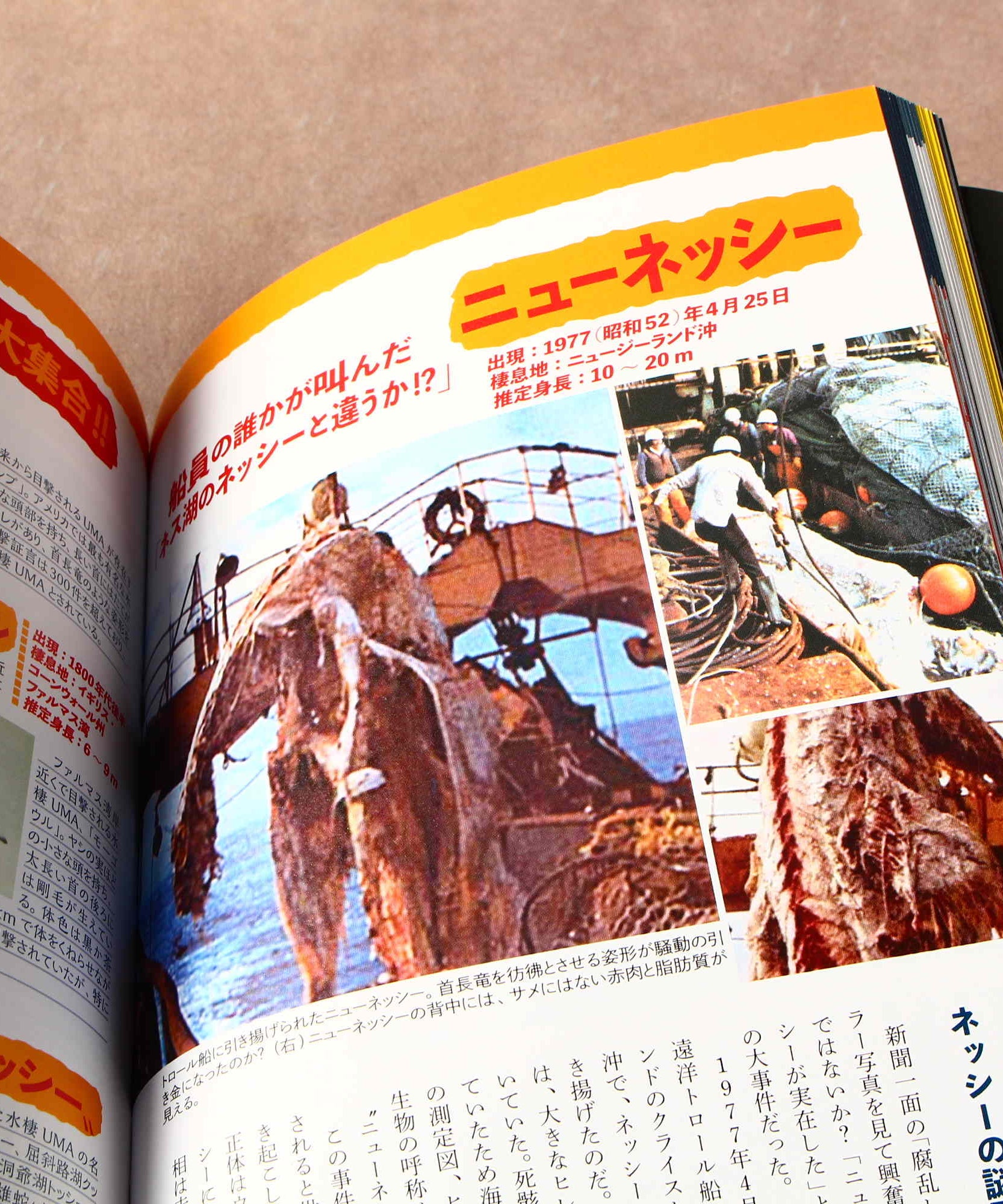 Book of Natsukashi Occult