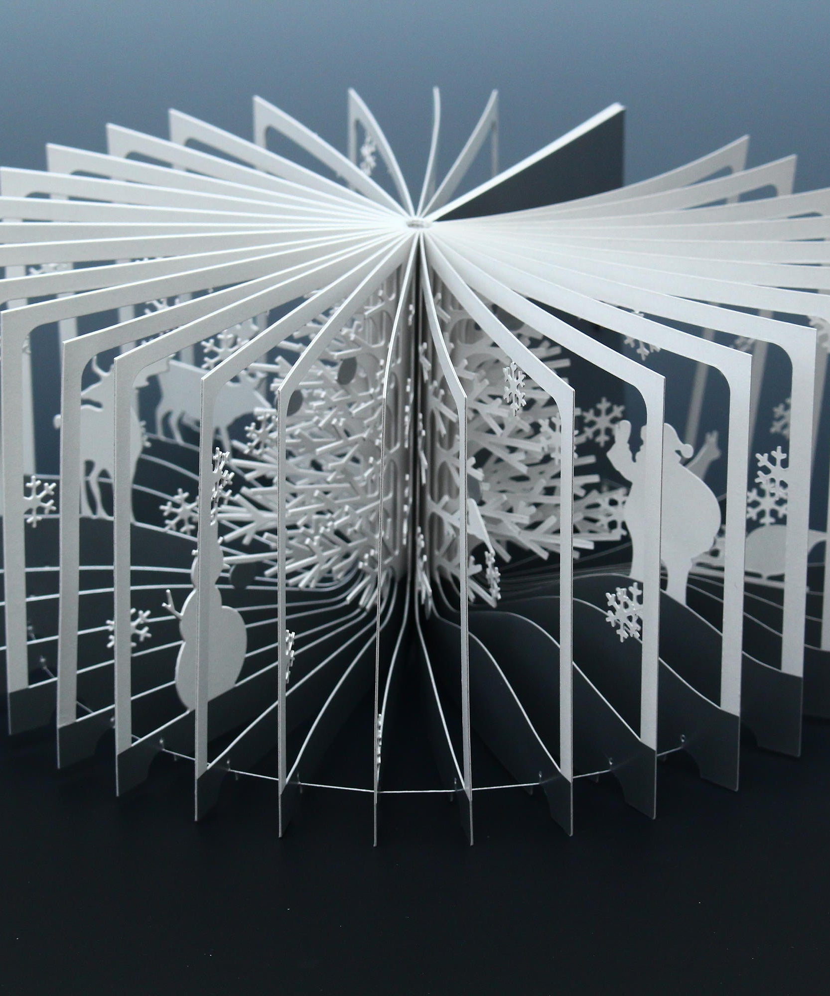 360° Degree BOOK - Snowy World