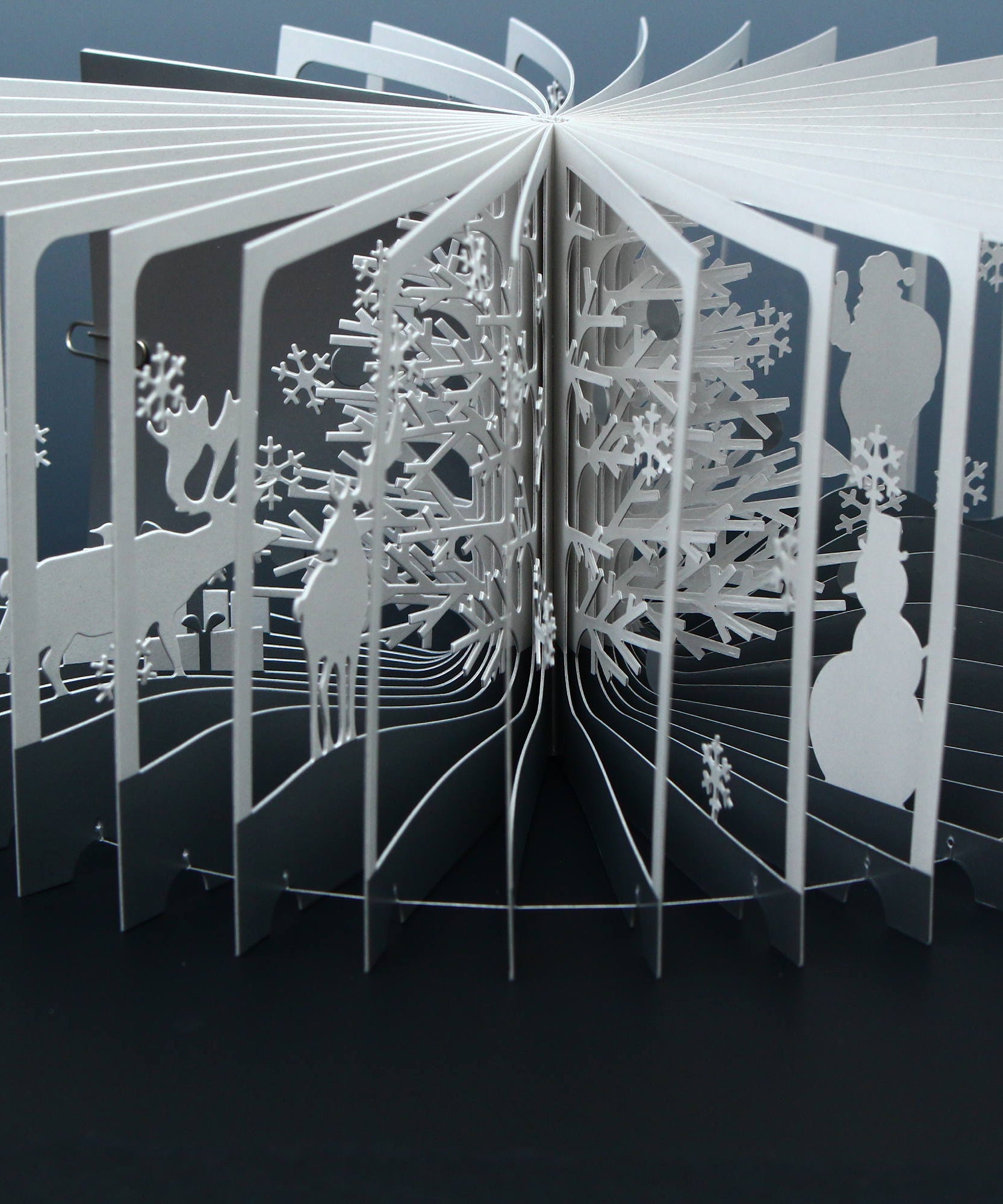 360° Degree BOOK - Snowy World