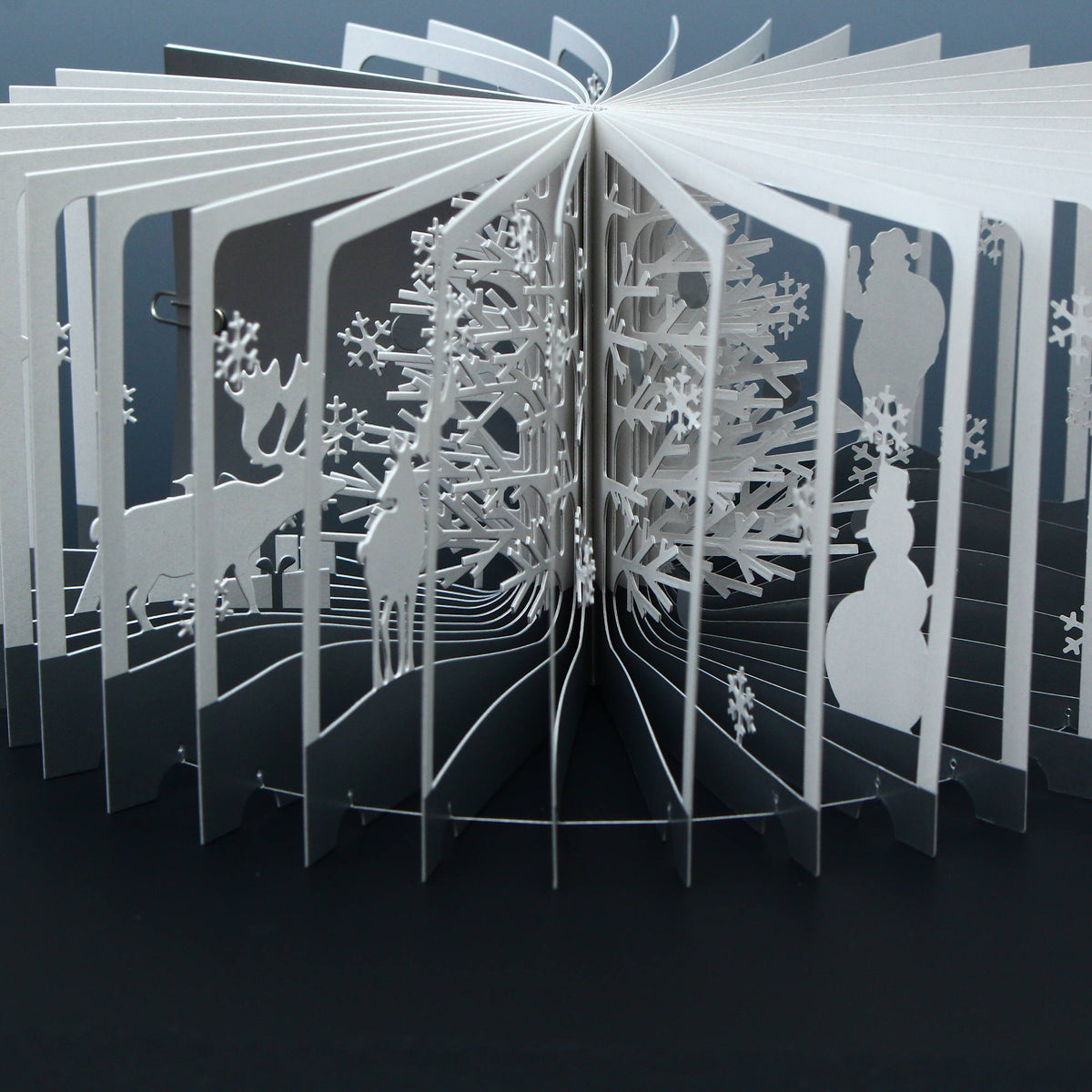 360° Degree BOOK - Snowy World