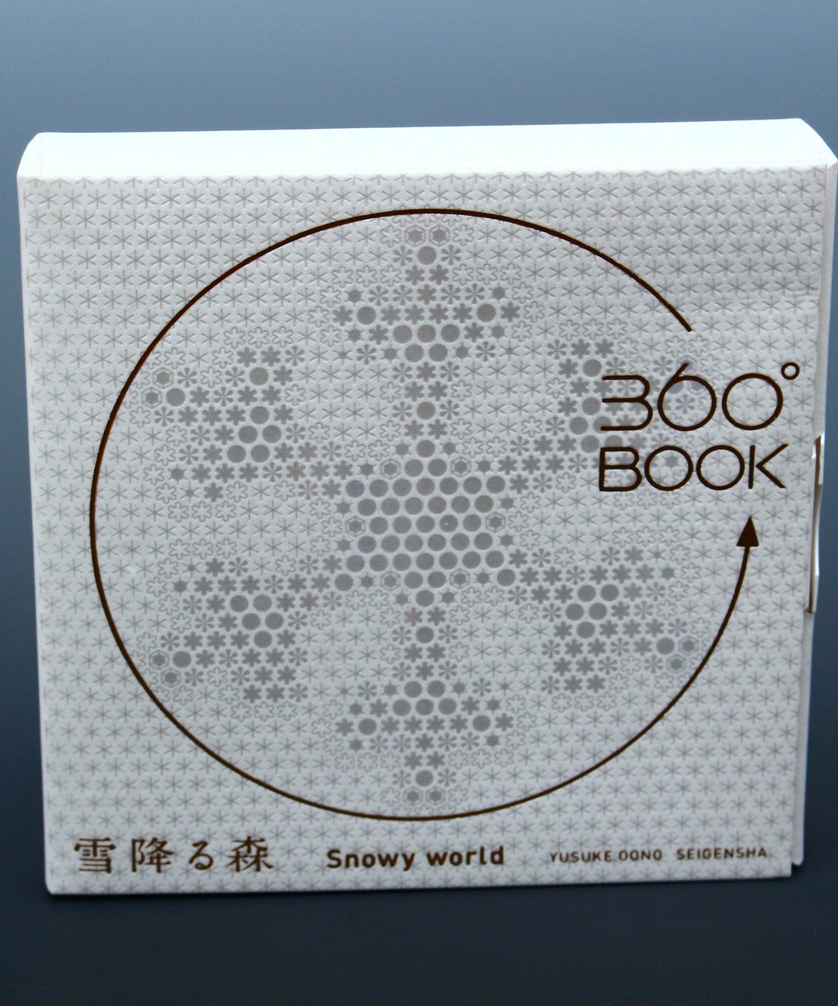 360° Degree BOOK - Snowy World