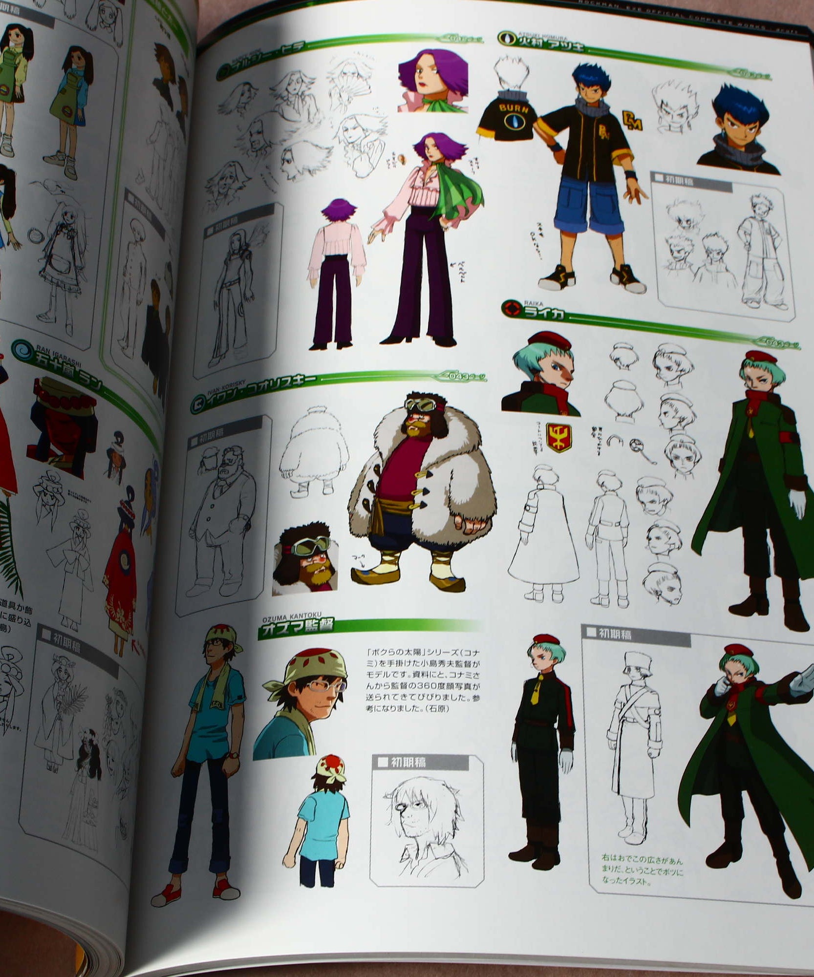 Rockman.exe Mega Man Official Complete Works Art Book