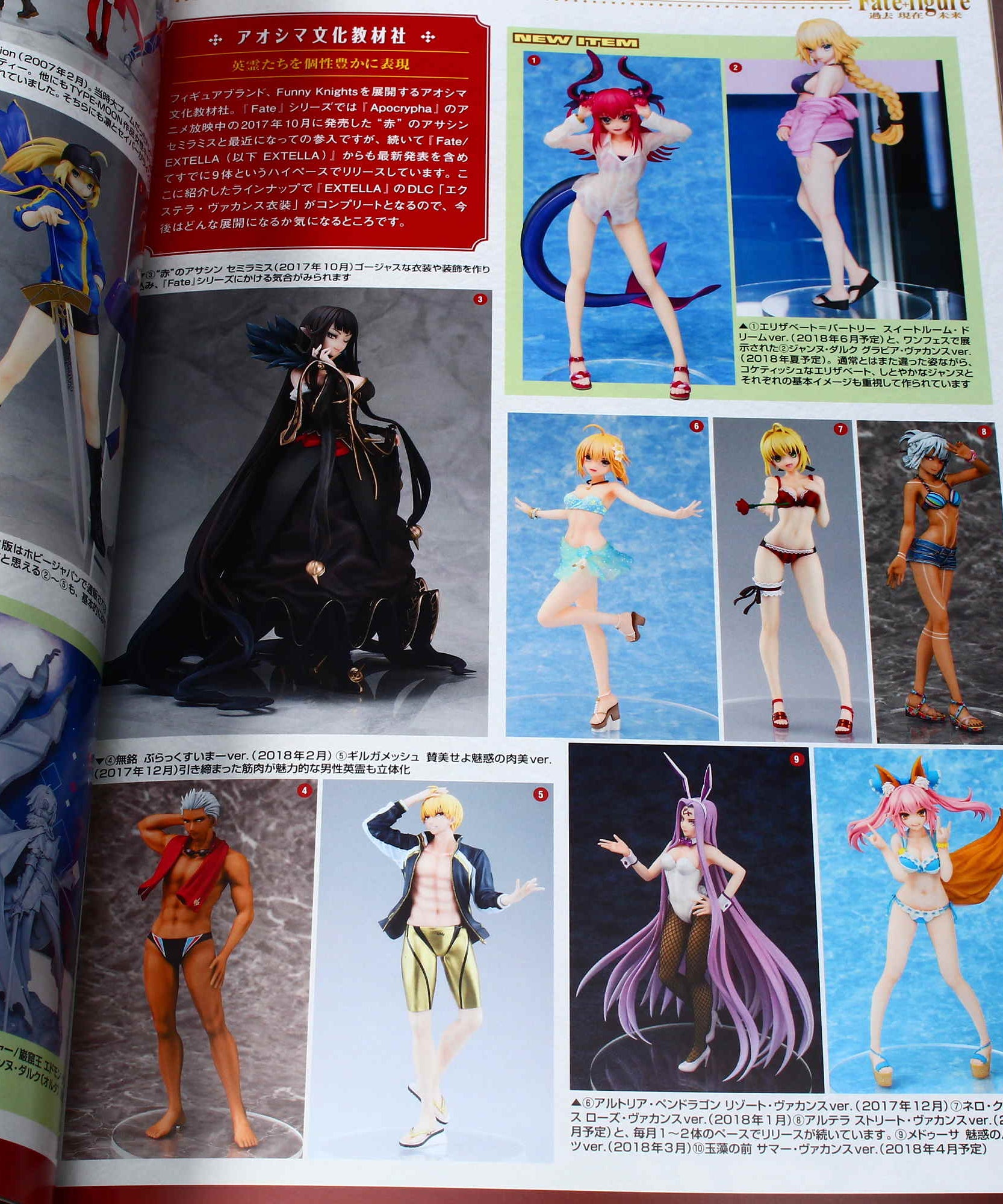 Figure Japan Maniax
