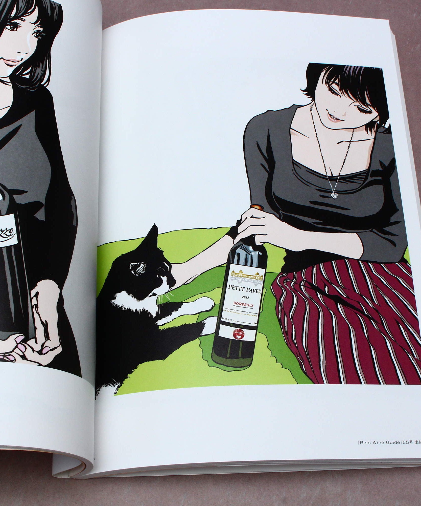 Step - Hisashi Eguchi Illustration Book