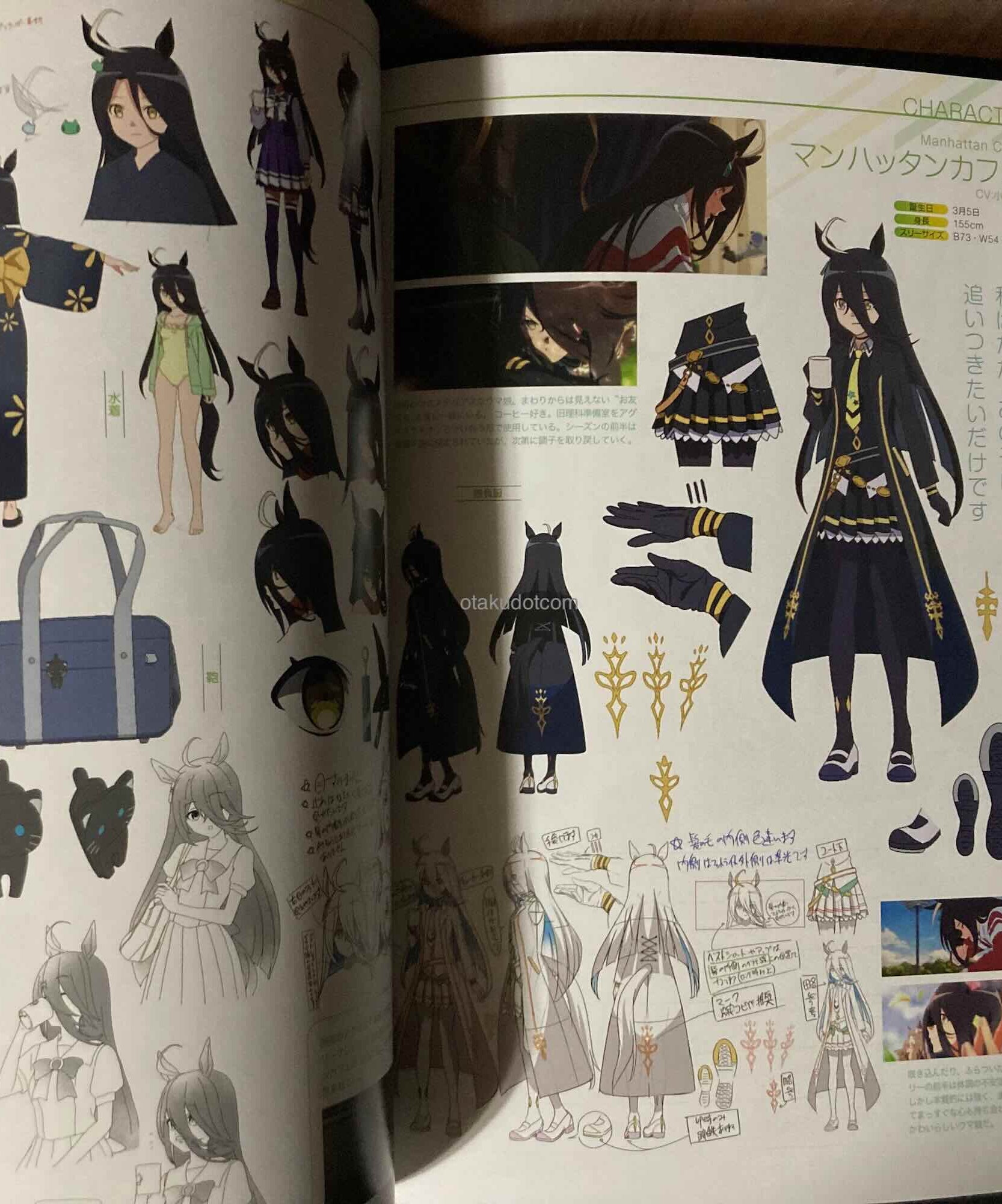Umamusume Pretty Derby Anime Guide Book