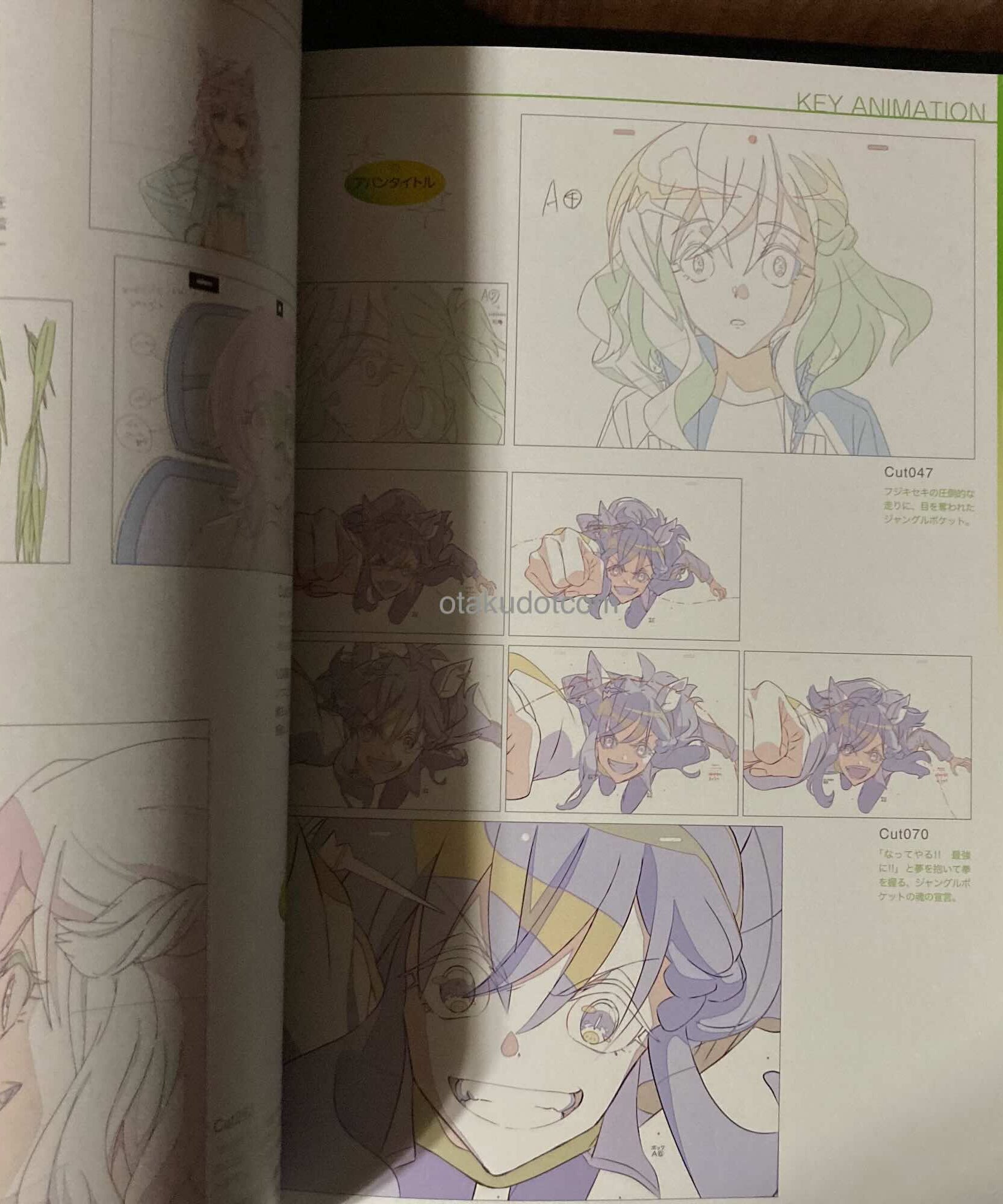 Umamusume Pretty Derby Anime Guide Book