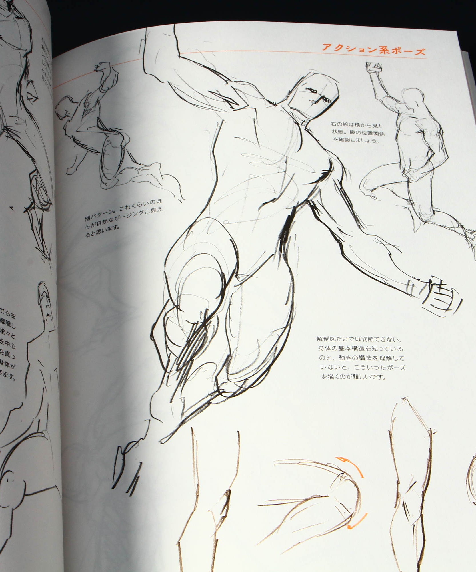 Animators Sketch Collection - Muscle Characters