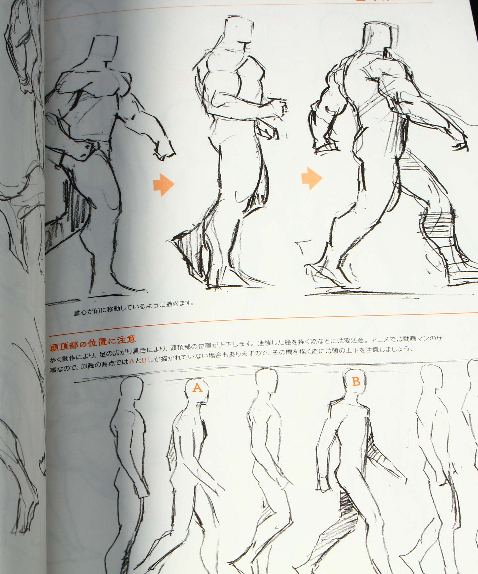 Animators Sketch Collection - Muscle Characters