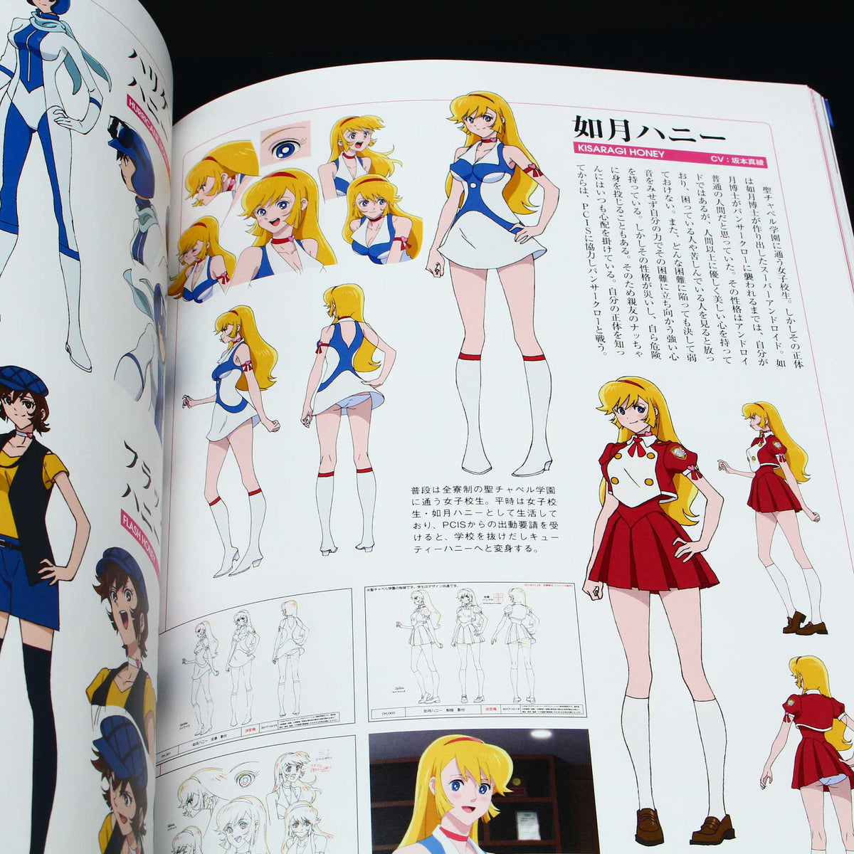 Mobile Suit Gundam Seed - Cosmic Era History Book