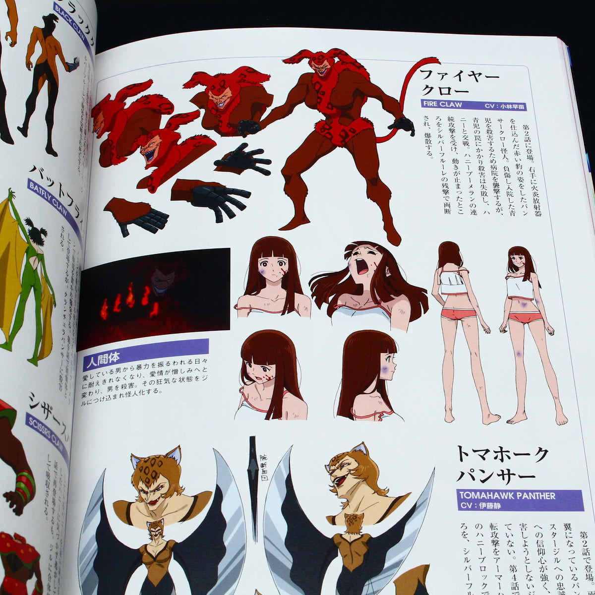 Mobile Suit Gundam Seed - Cosmic Era History Book