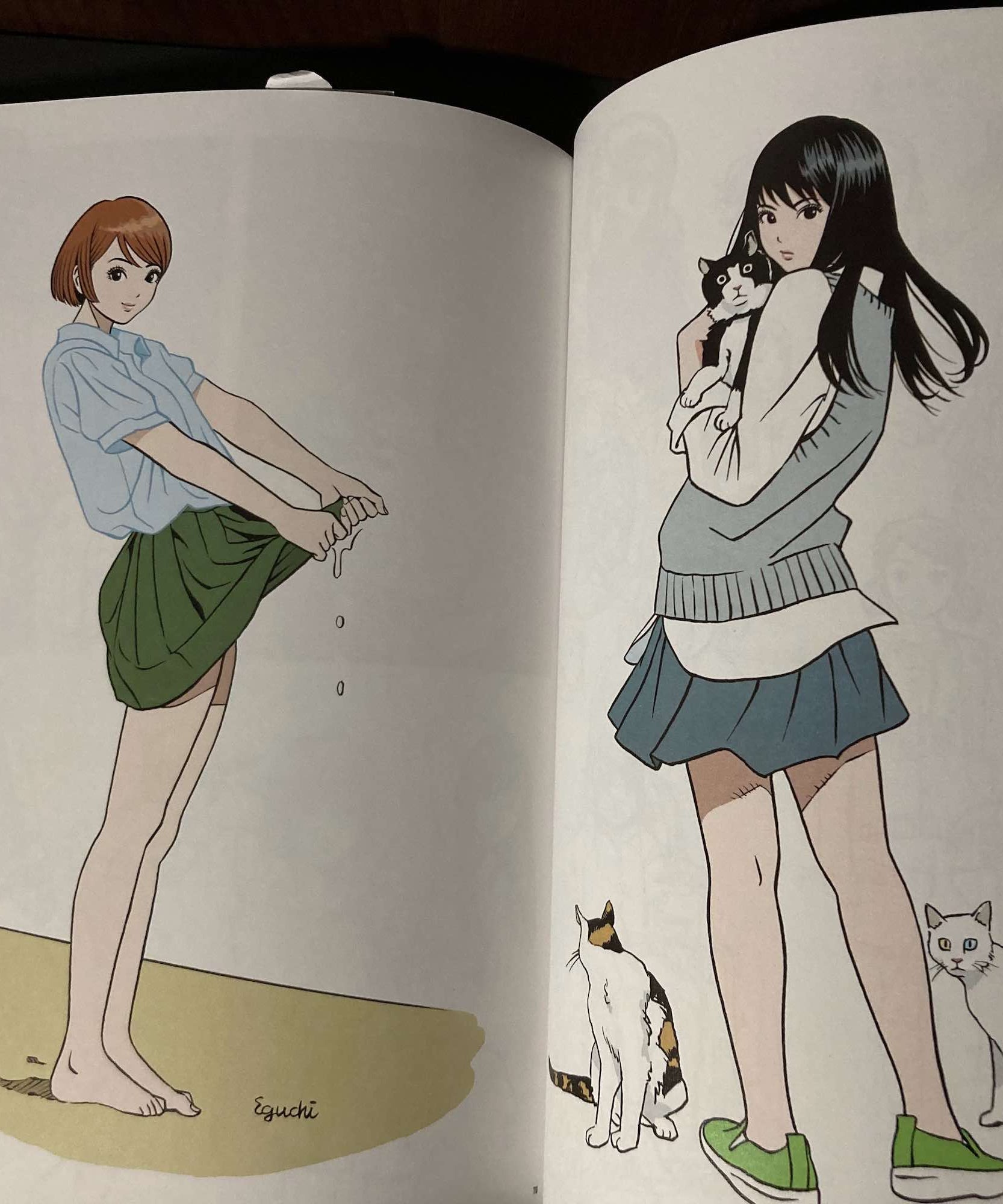 Step 2 - Eguchi Hisashi Illustration Book