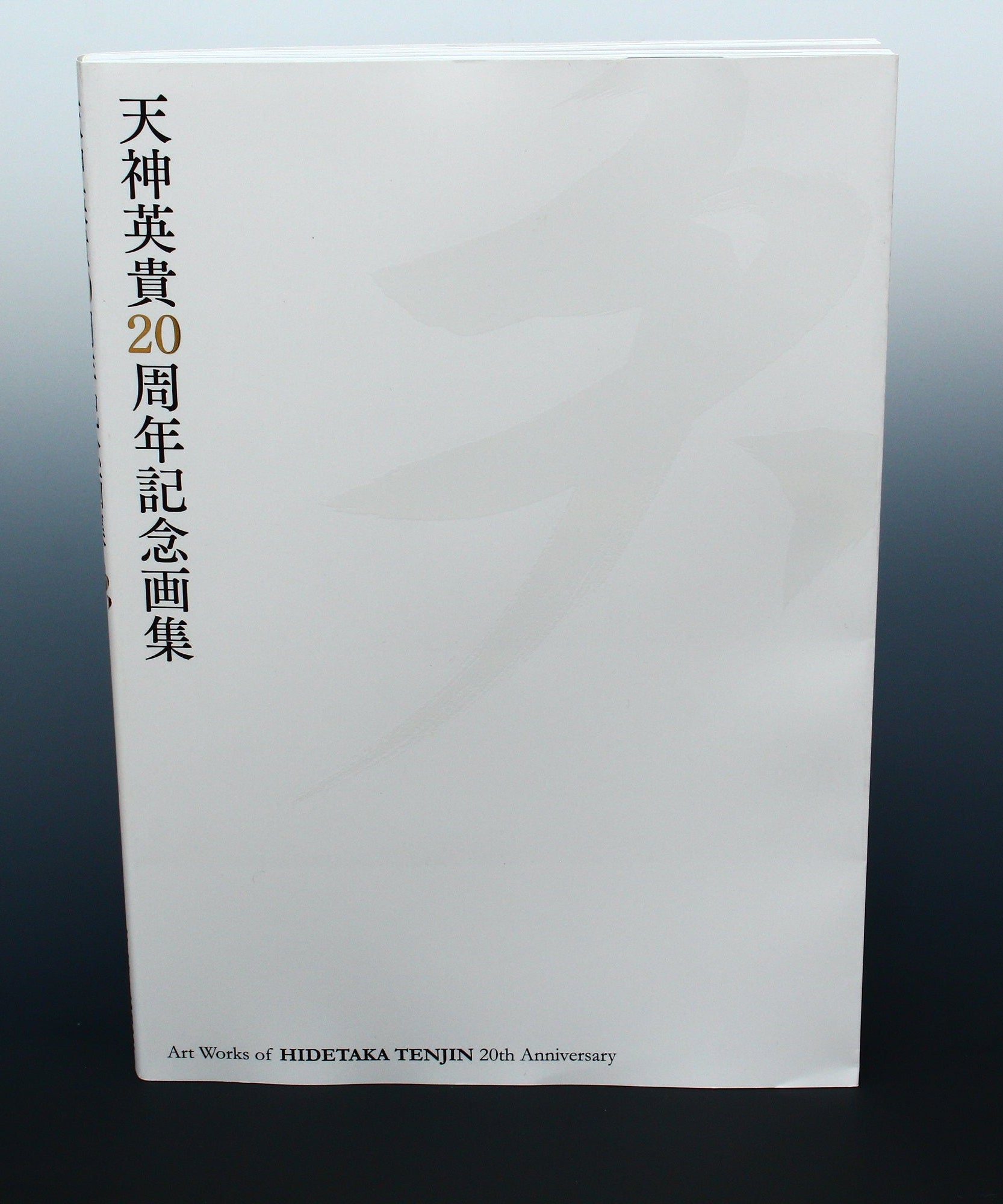 Ten - Art Works of Hidetaka Tenjin 20th Anniversary Book