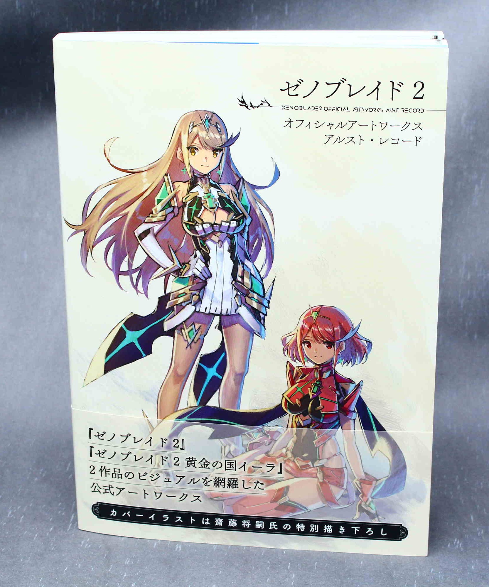 Xenoblade Chronicles 2 Official Artworks Alrest Record