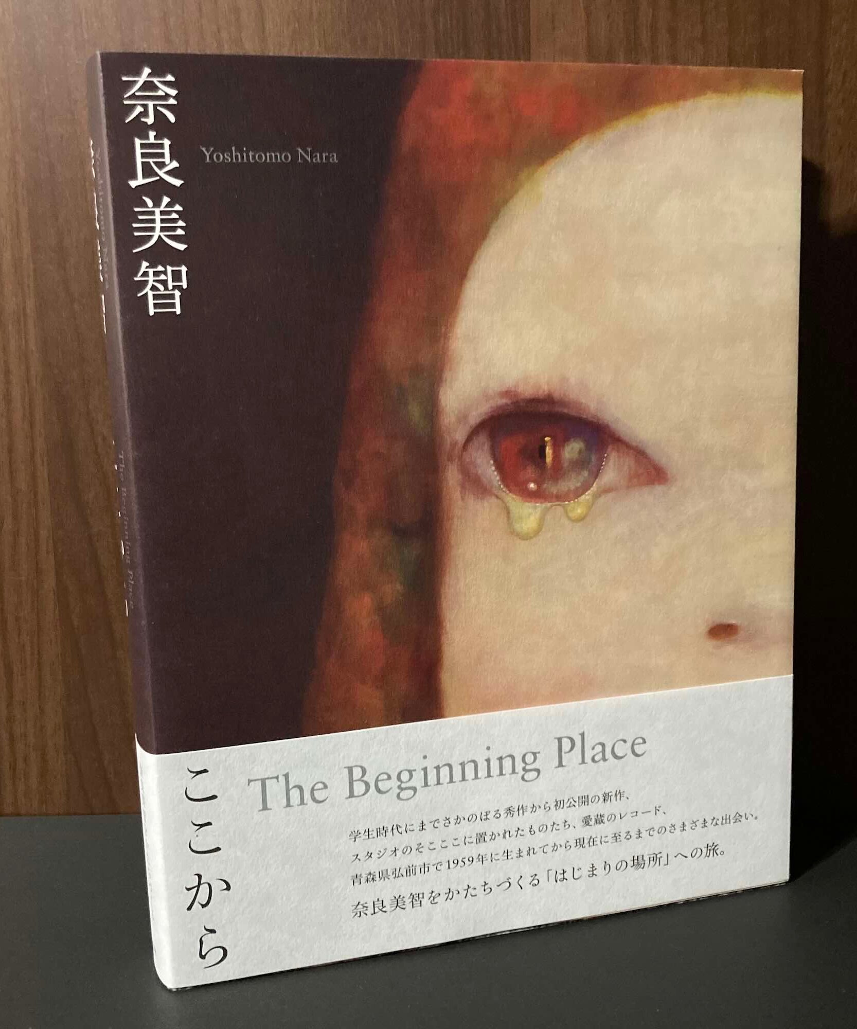 Yoshitomo Nara The Beginning place