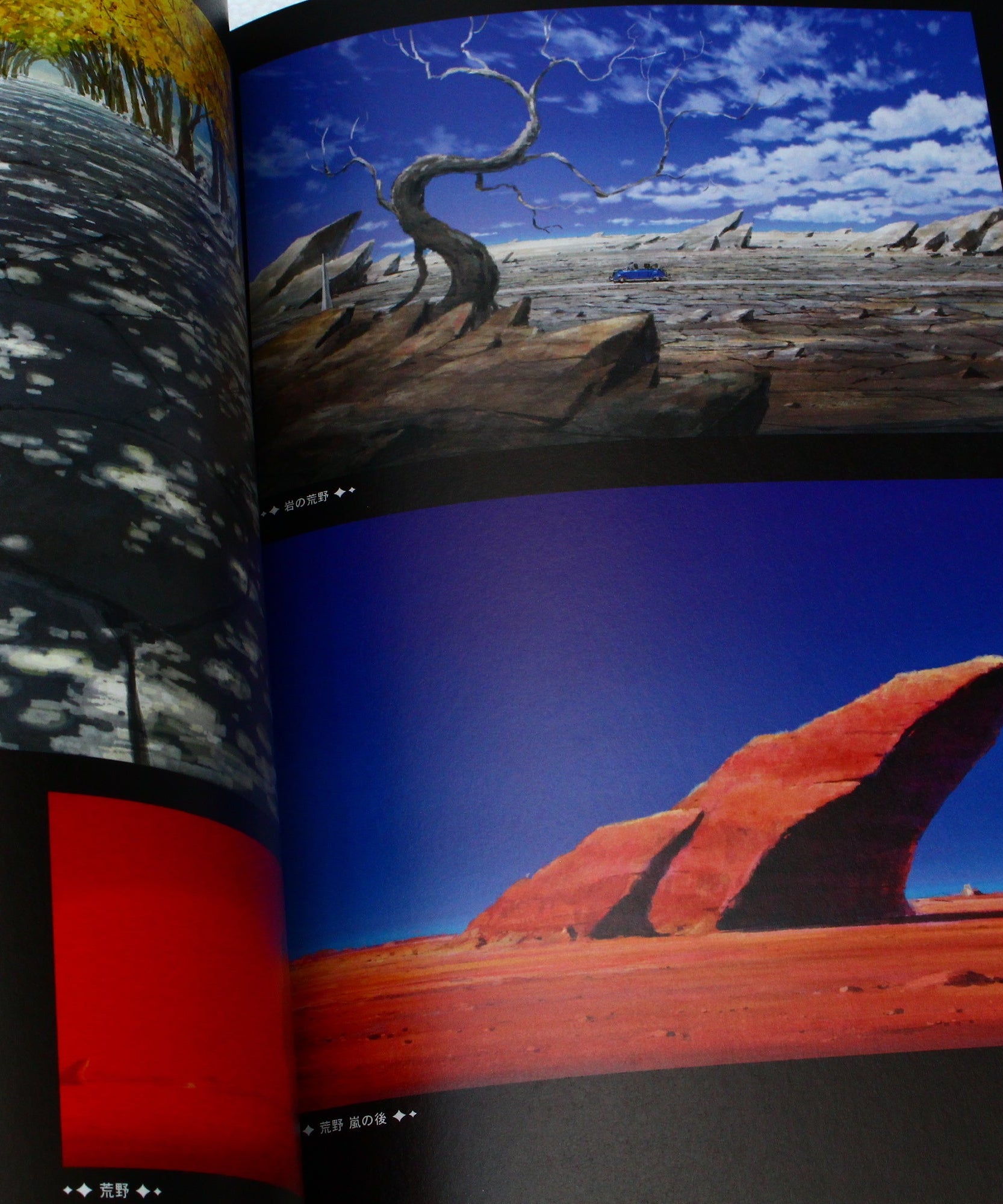Birthday Wonderland - Official Artworks Book