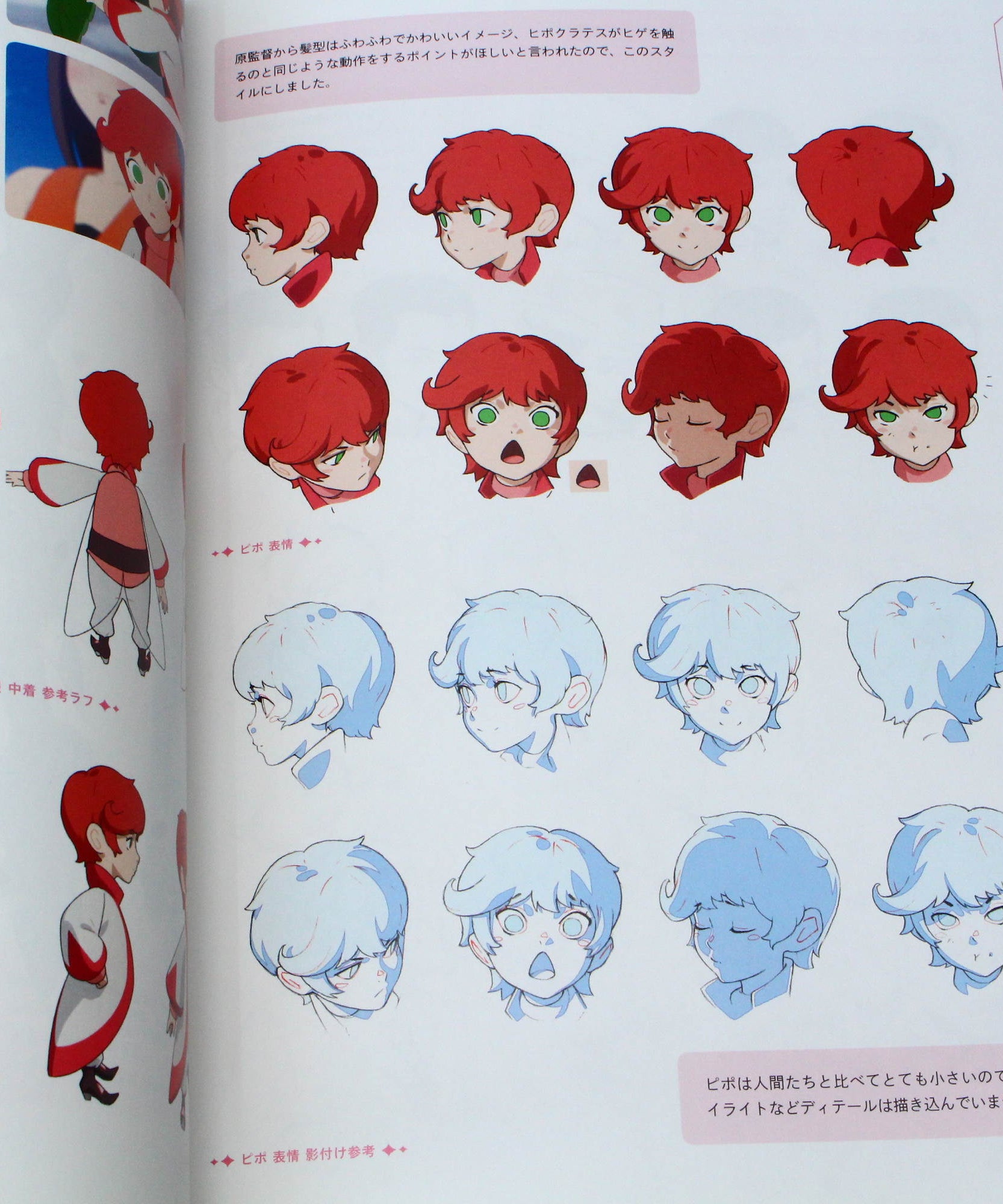 Birthday Wonderland - Official Artworks Book