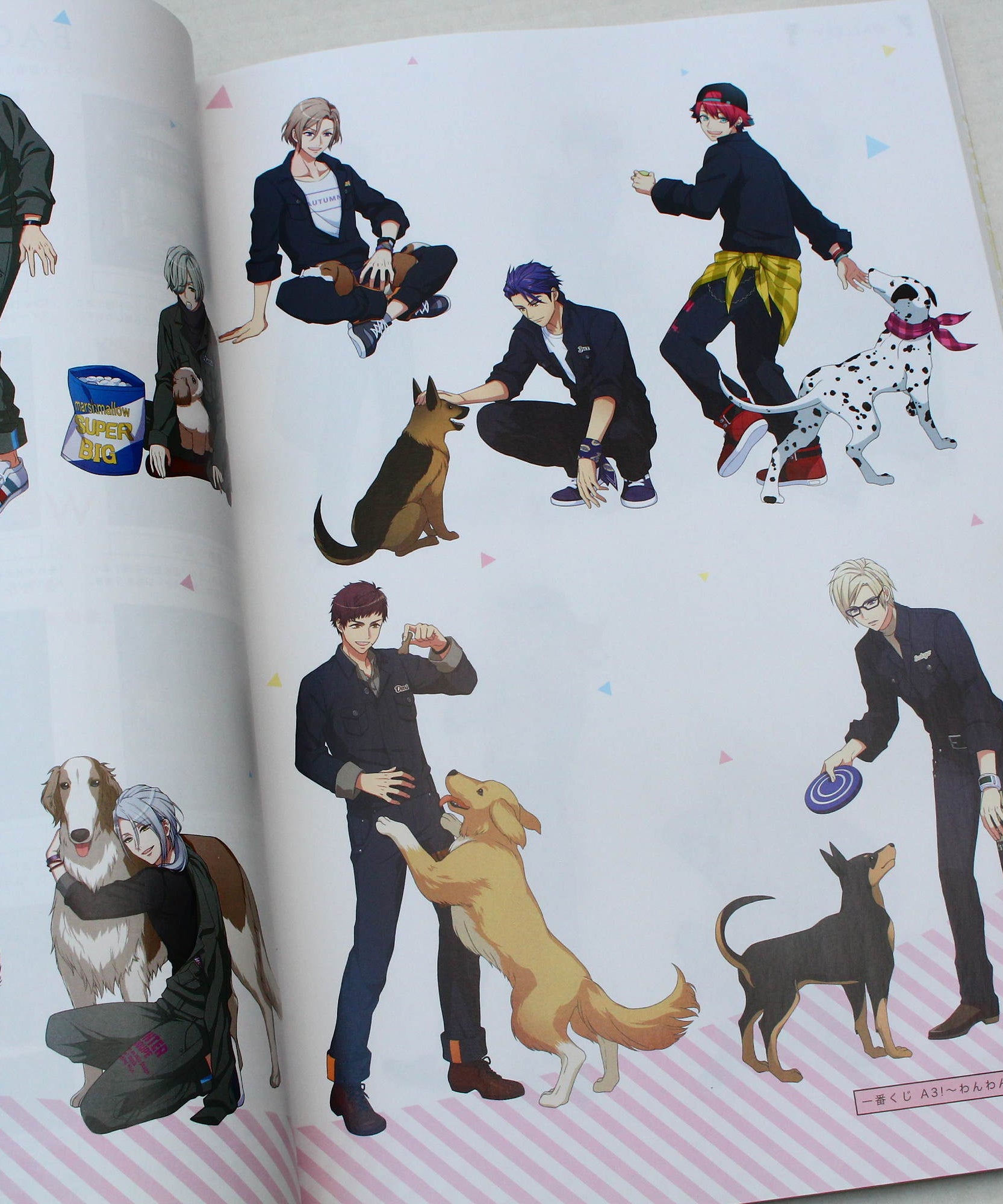 A3 / 2nd Anniversary Book - SUNSHINE