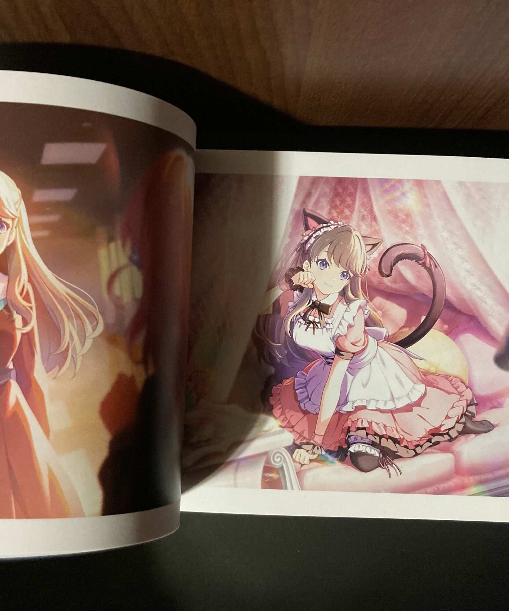 Link! Like! Love Live 103 Card Illustration book