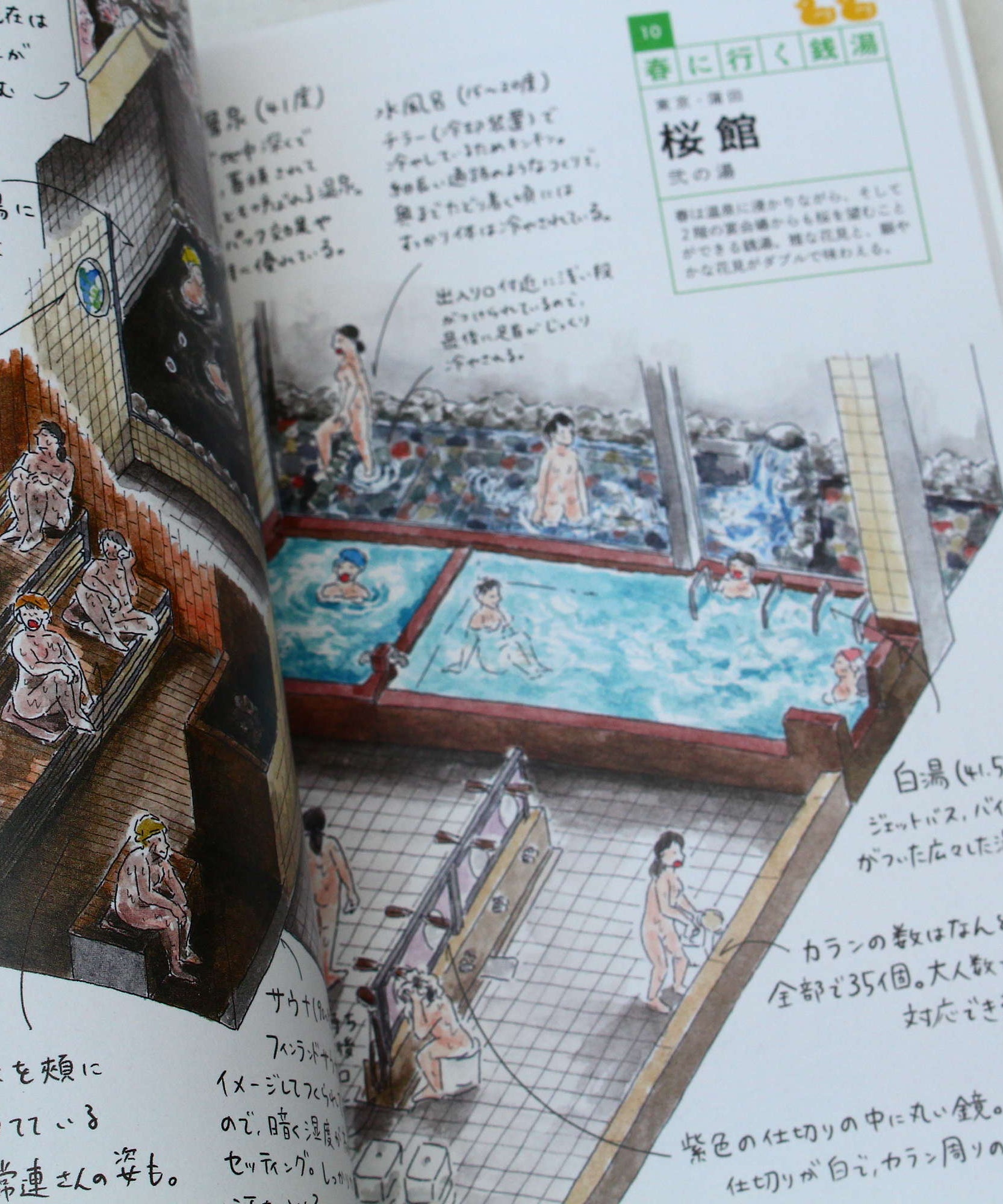 Sento Illustrations Book