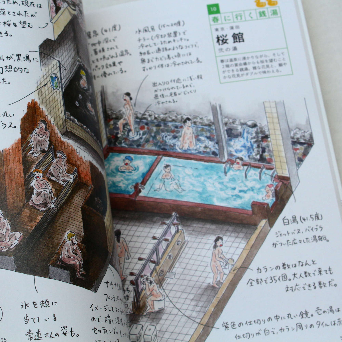 Sento Illustrations Book