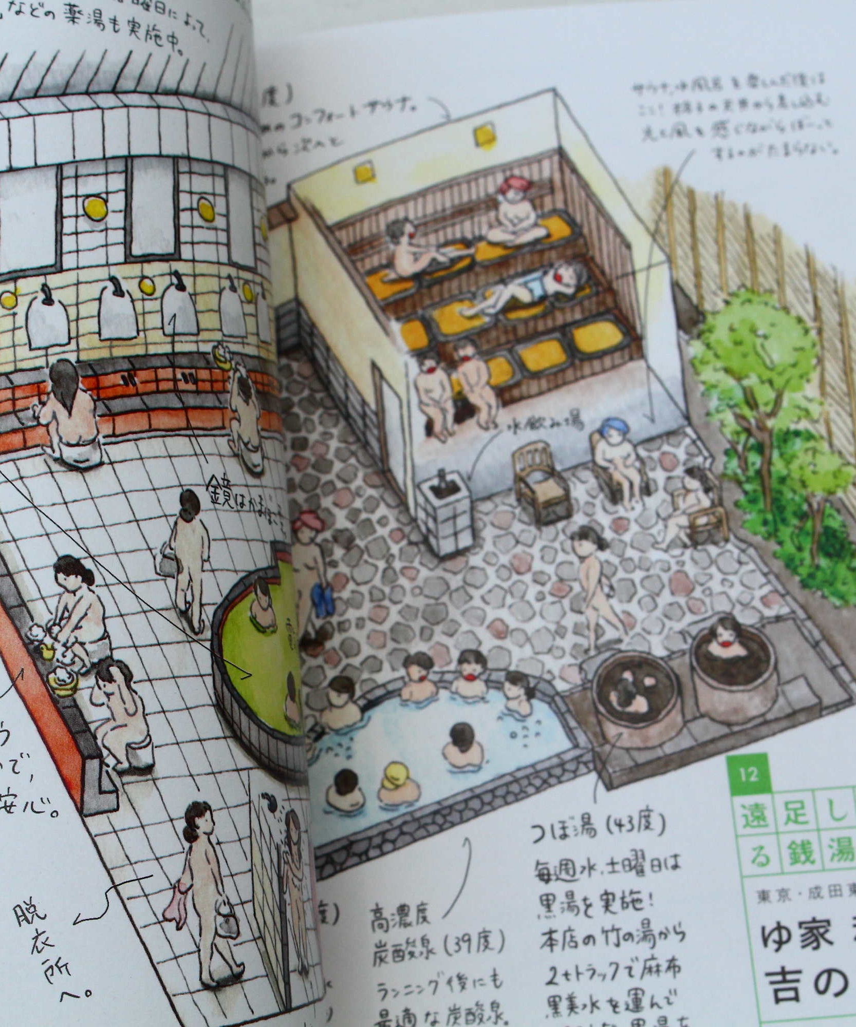 Sento Illustrations Book