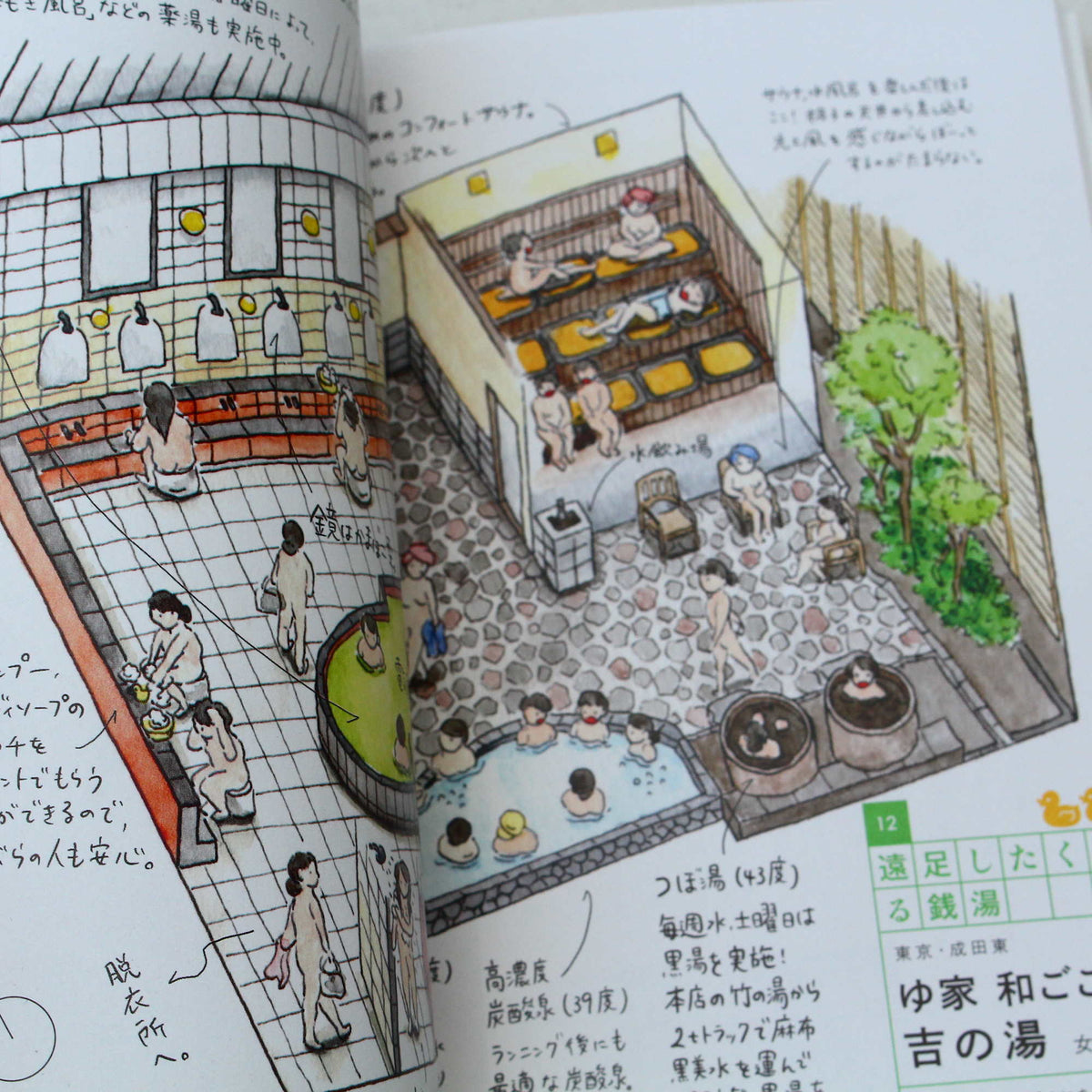Sento Illustrations Book