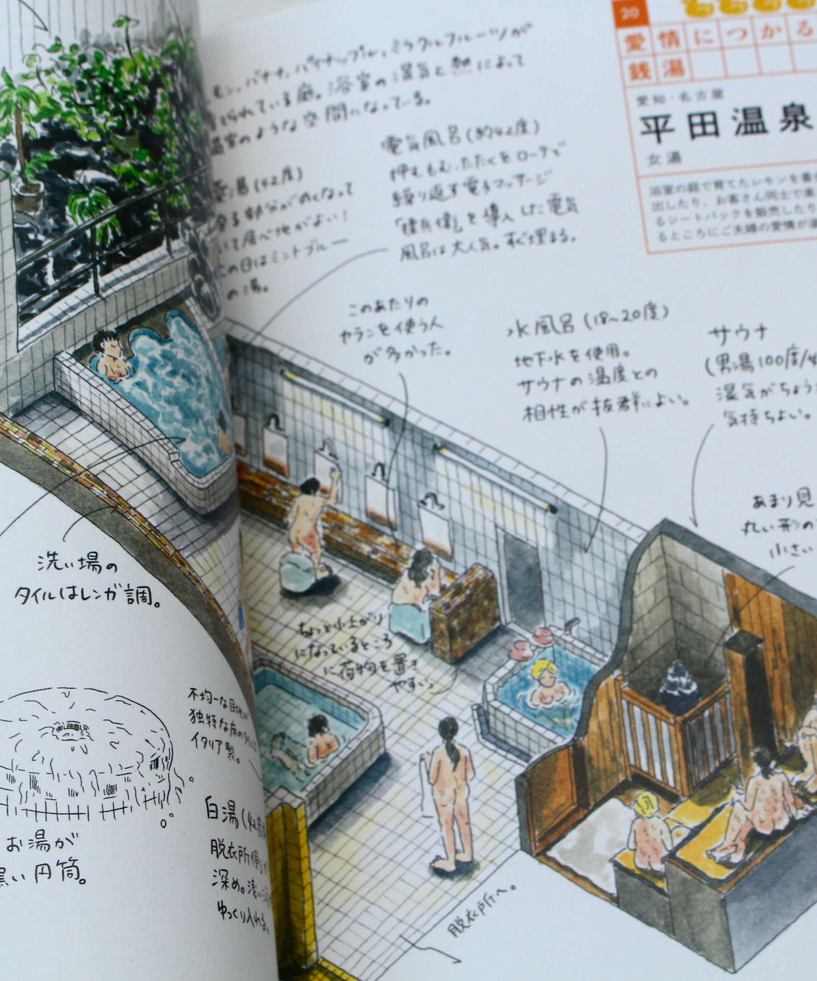Sento Illustrations Book