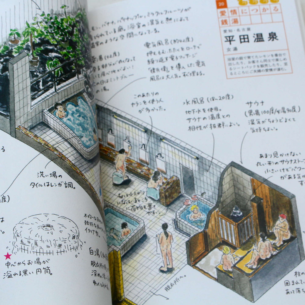 Sento Illustrations Book