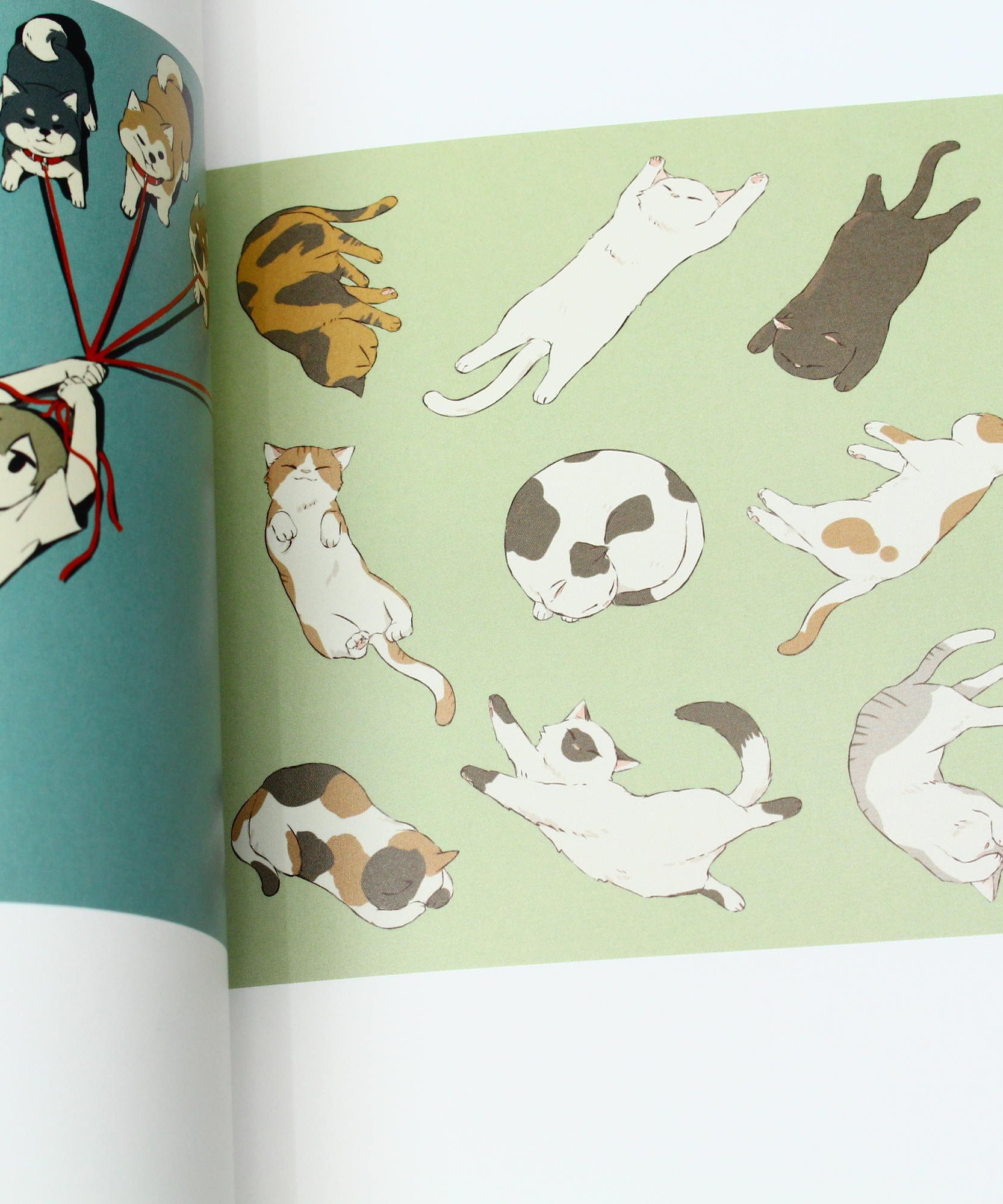 Avogado6 - Hakusei - Illustration Book and Manga