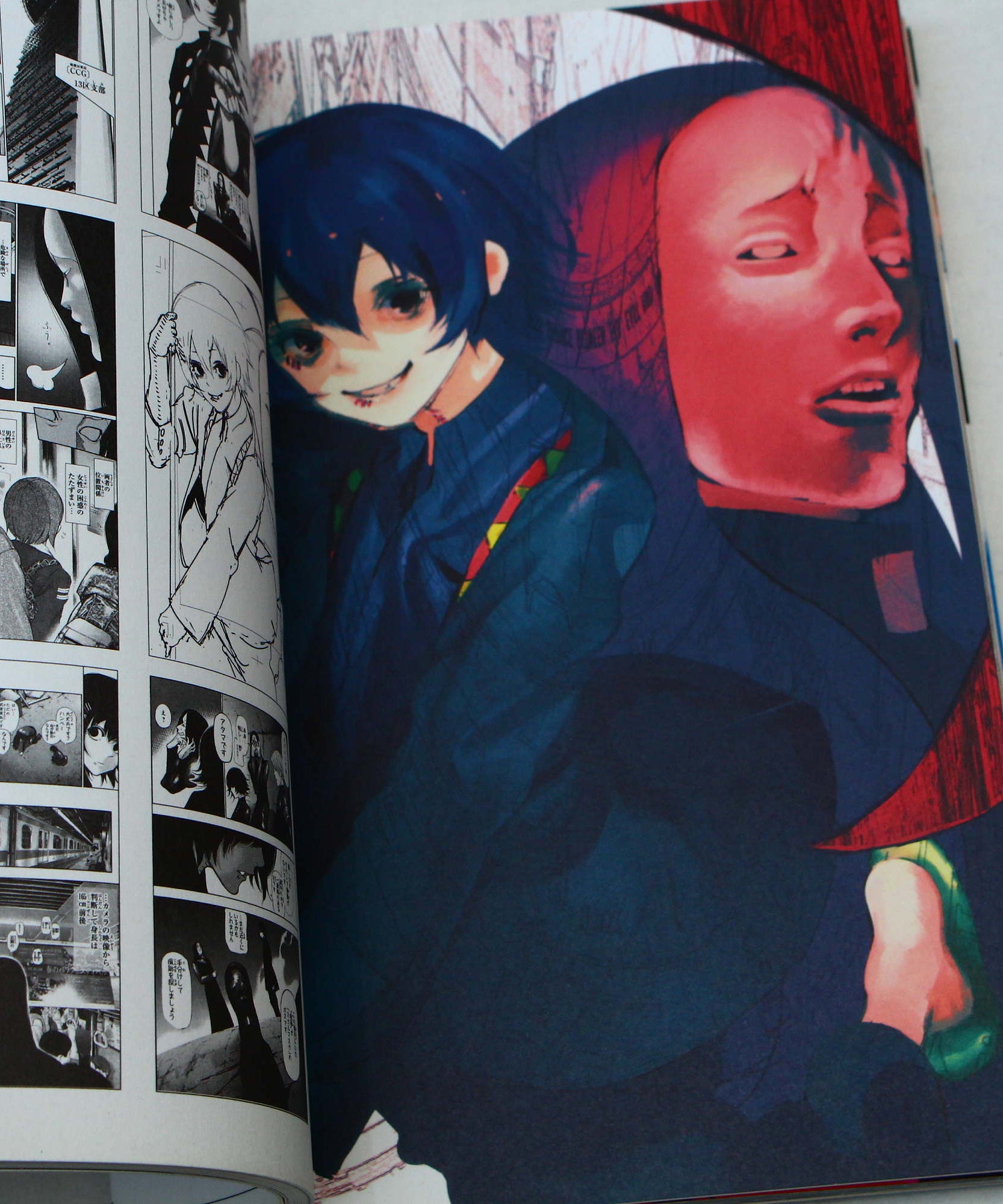 Tokyo Ghoul Zakki - Sui Ishida Artworks Book