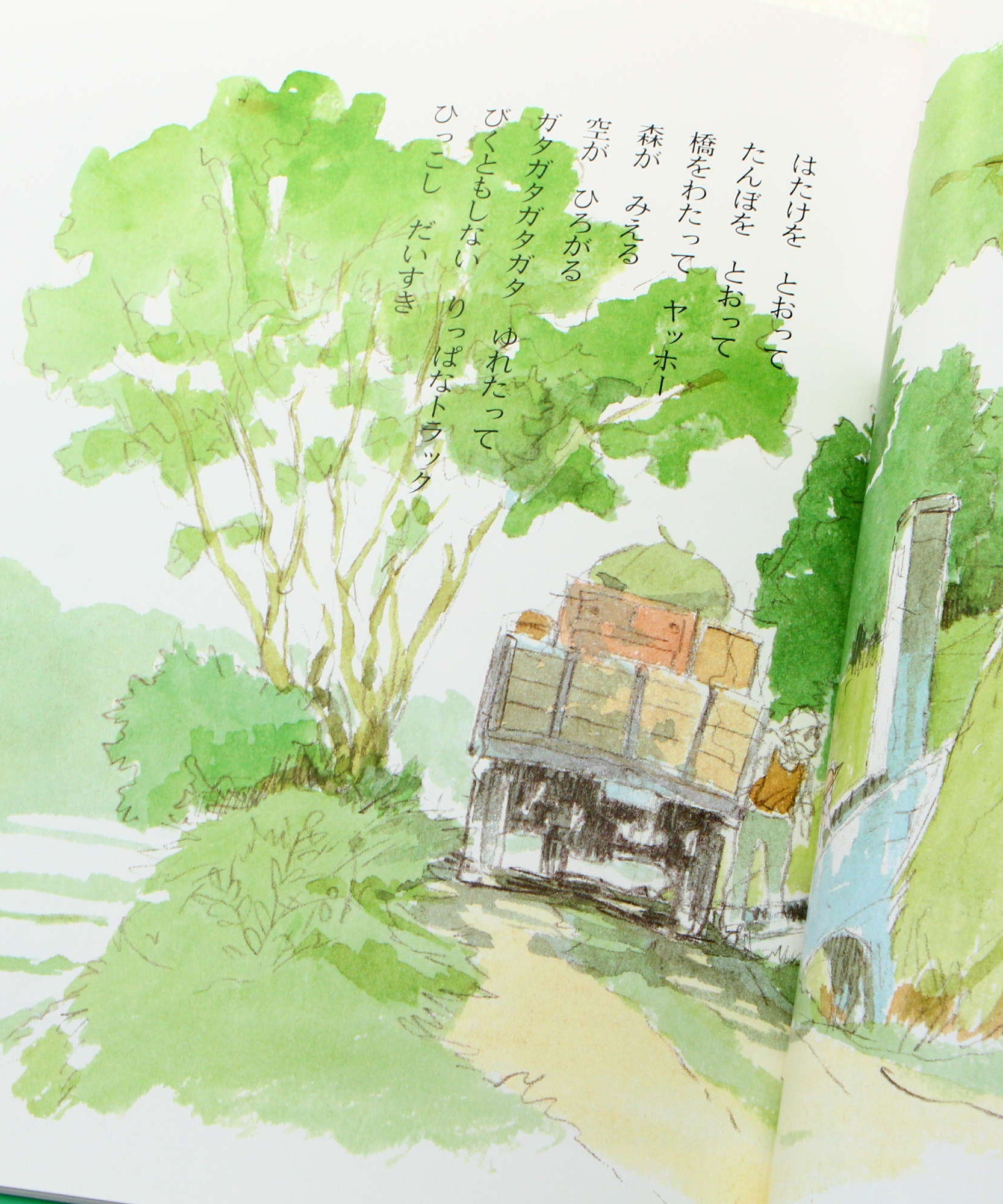 Totoro Story Book