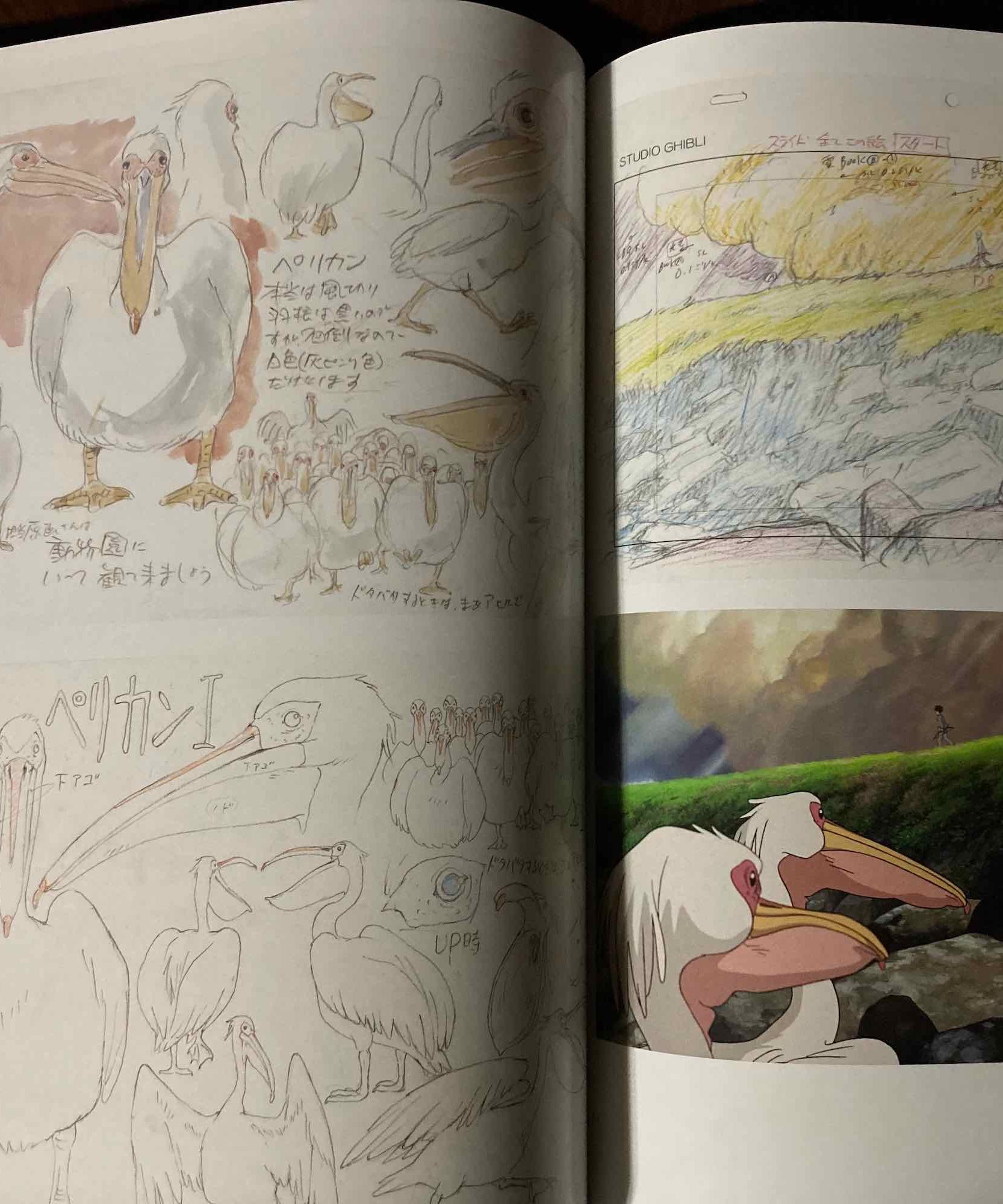 The Art Of The Boy and the Heron