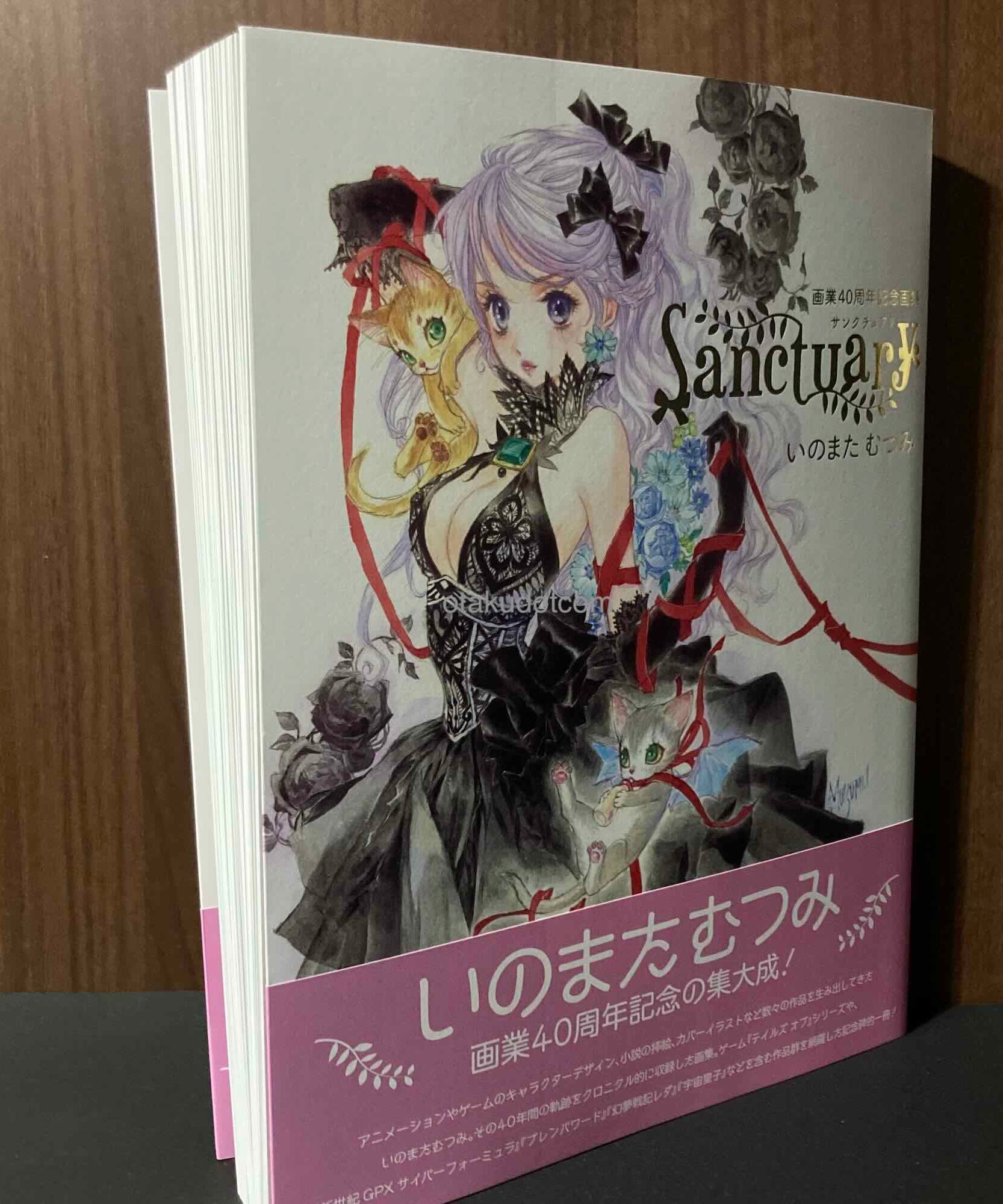 Mutsumi Inomata -  Sanctuary: 40th Anniversary Artworks Collection