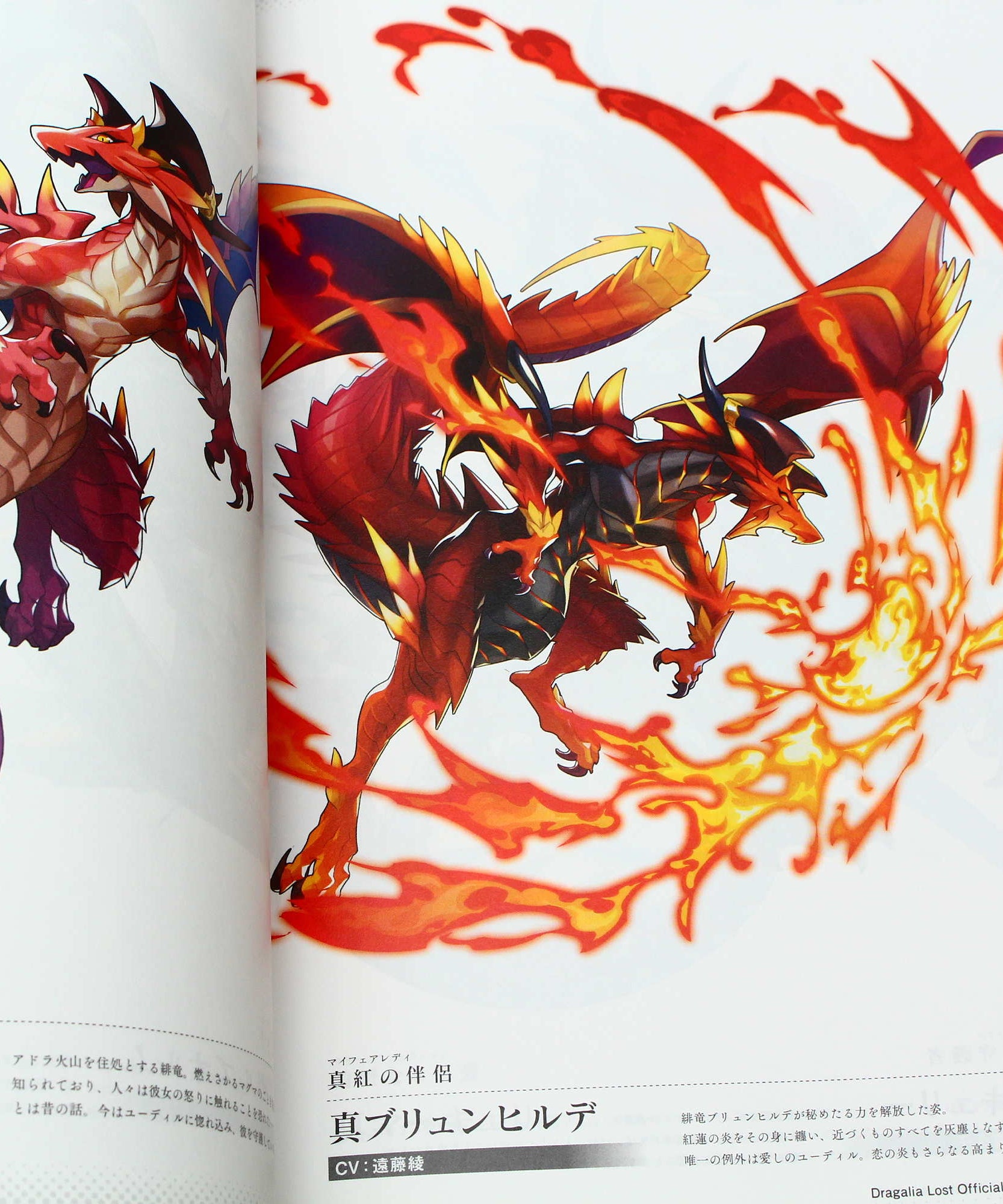 Dragalia Lost Official Art Book