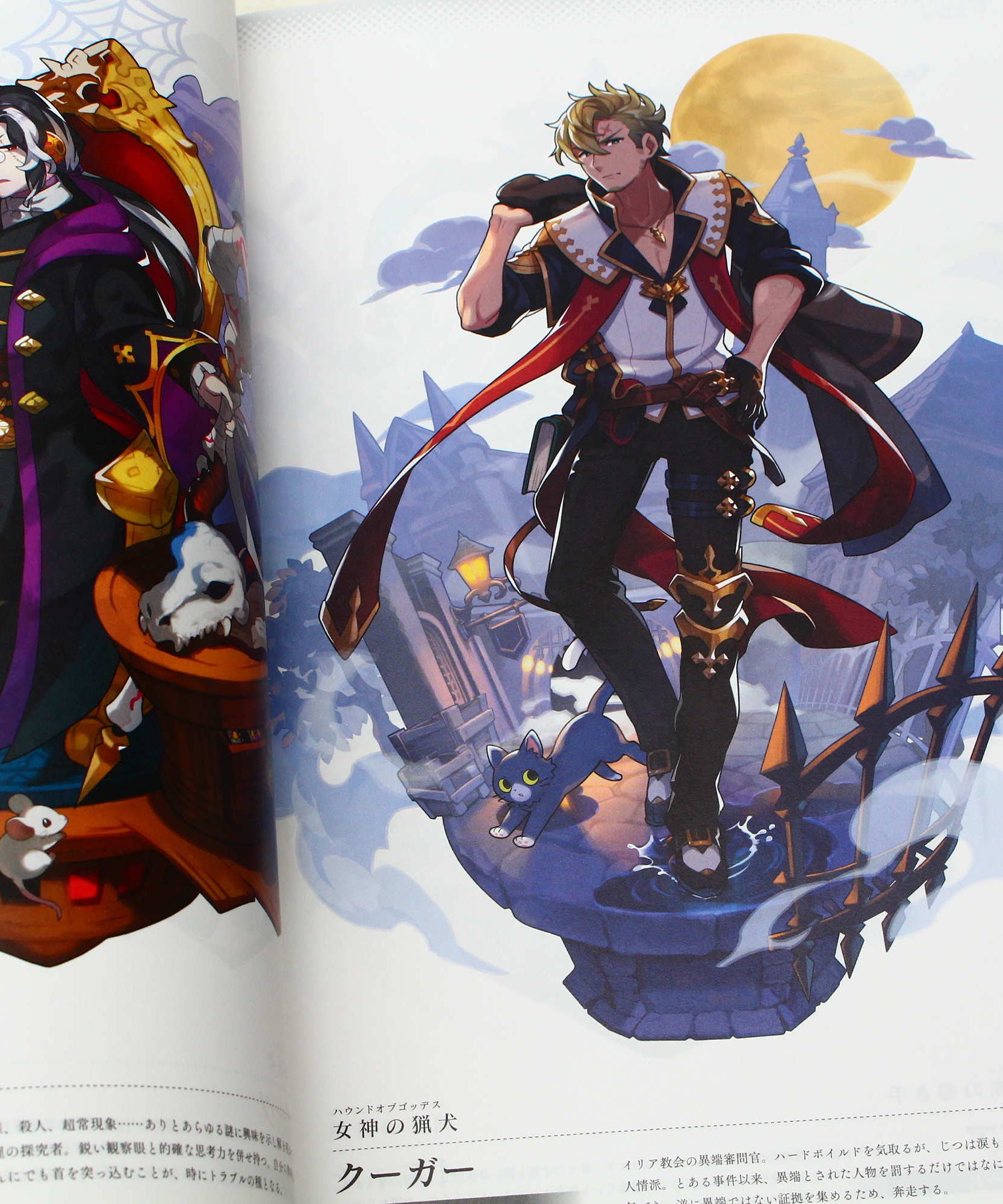 Dragalia Lost Official Art Book