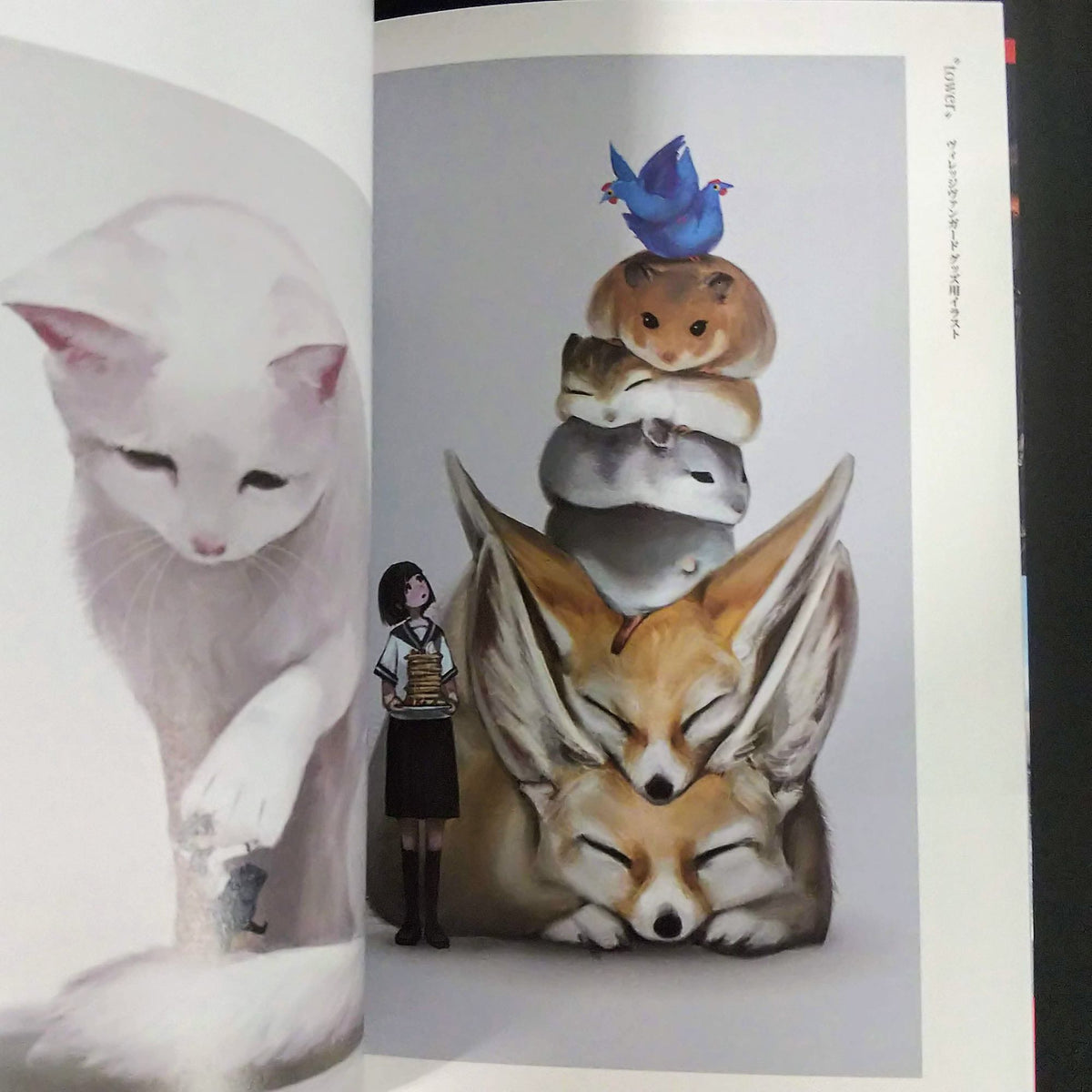 MEGASIA - Story of Another Universe - Monokubo Artworks