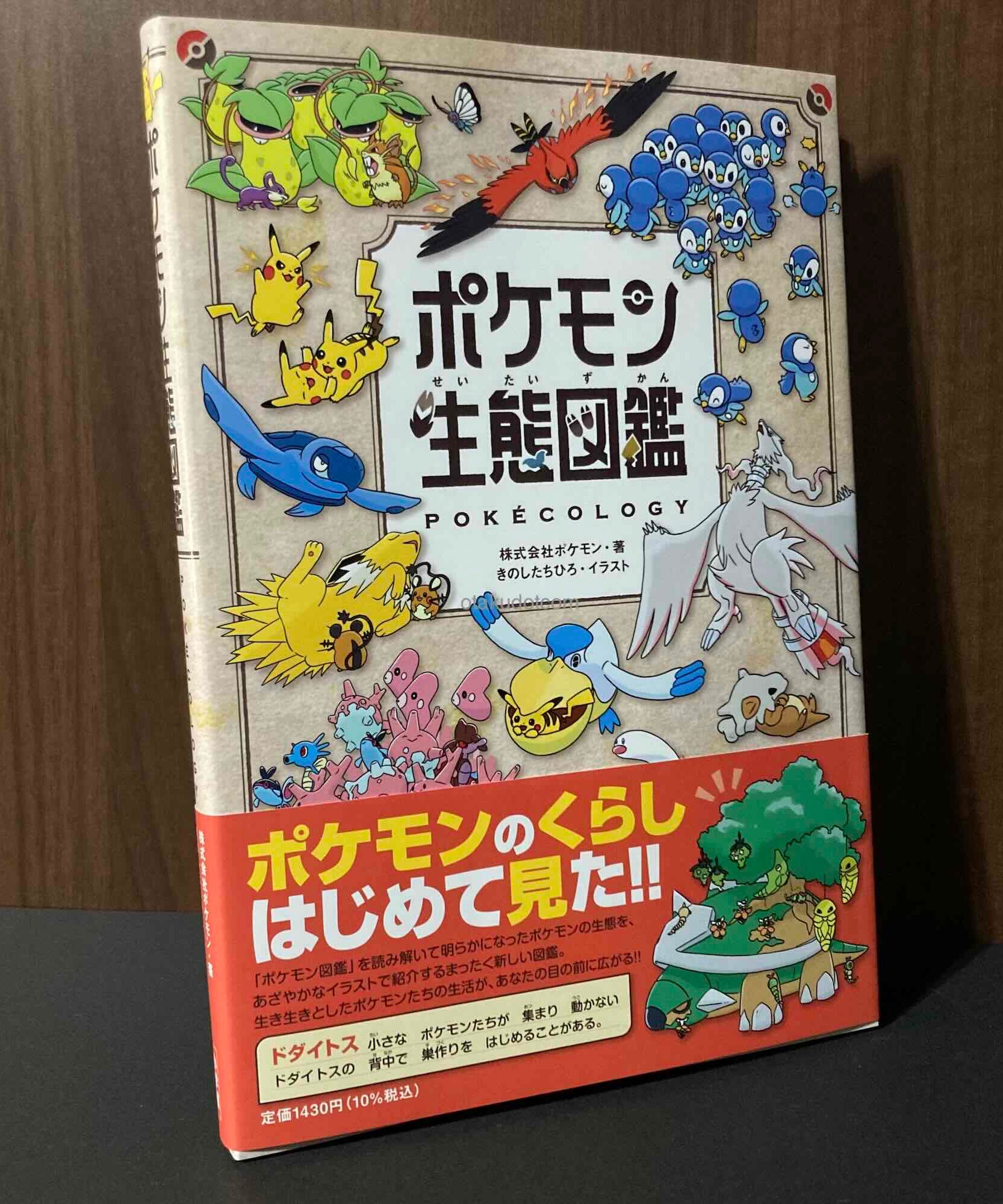 Pokemon Pokecology Encyclopedia