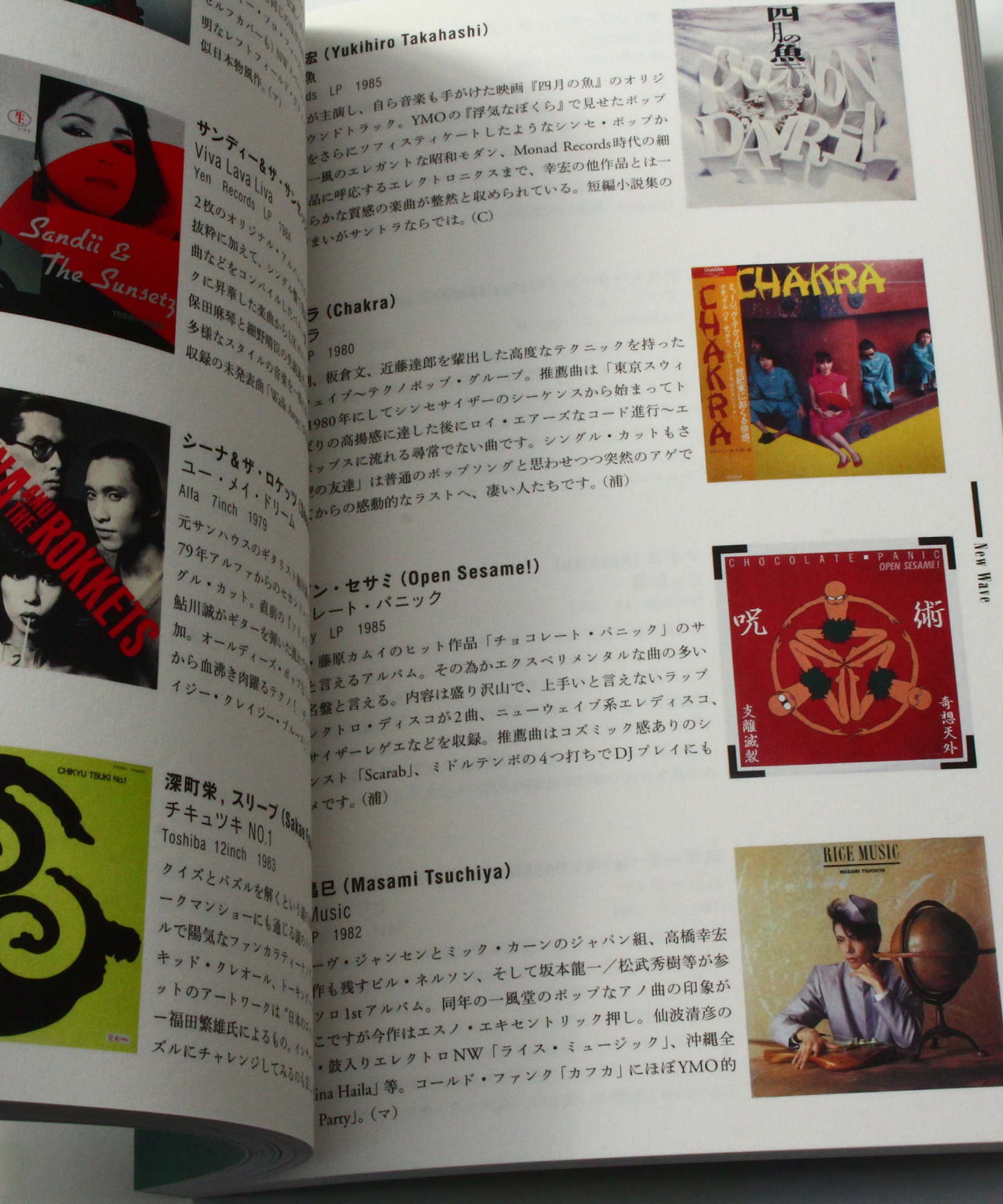 Walearic Disk Guide book