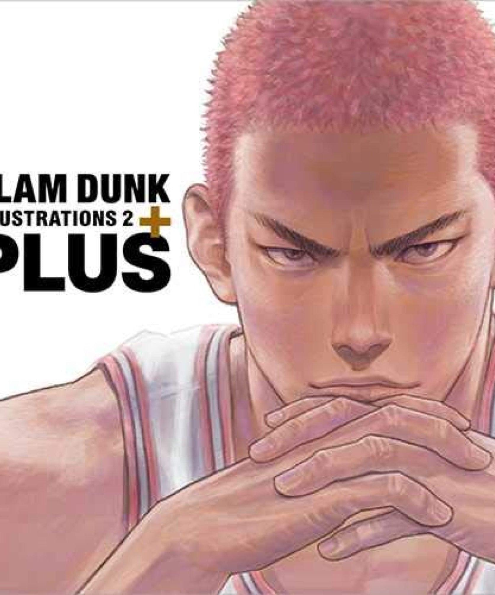 Slam Dunk Illustrations 2: Plus